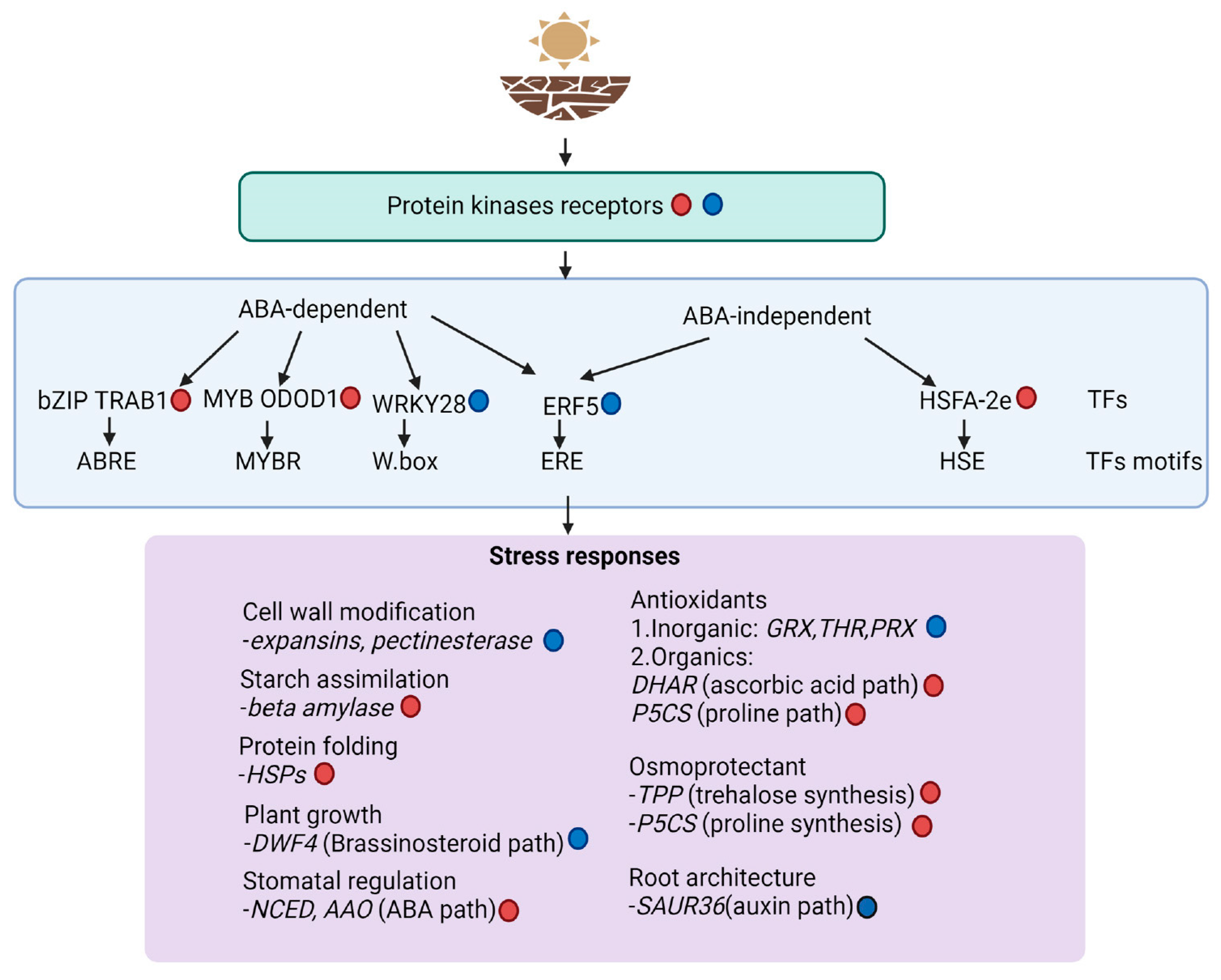 Plants 13 03086 g006