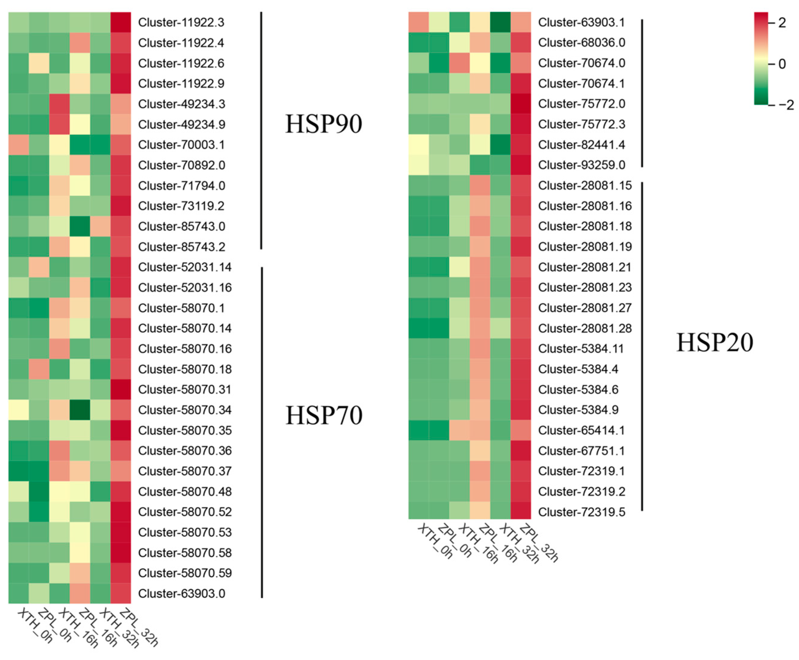 Plants 13 03089 g003