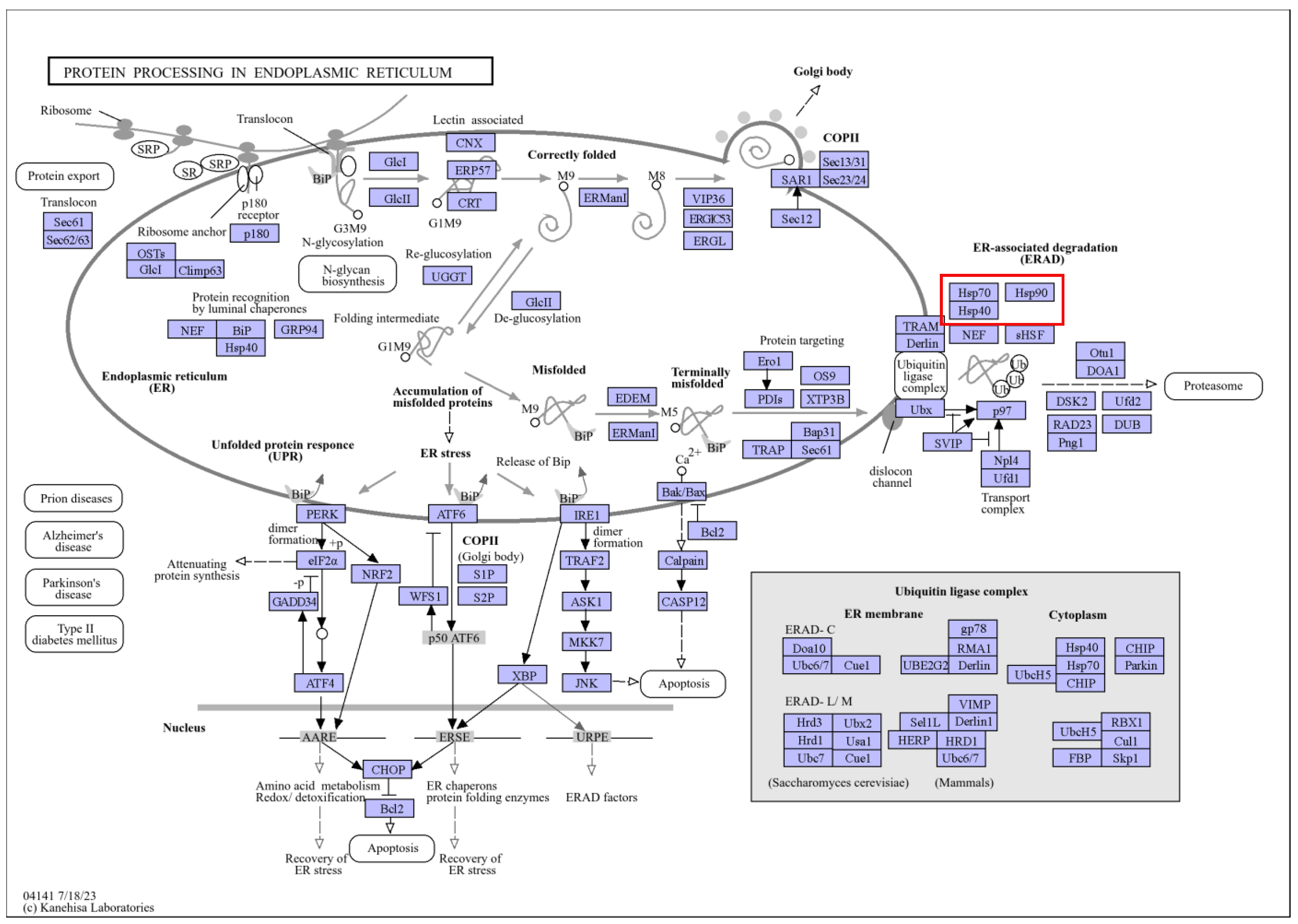 Plants 13 03089 g004