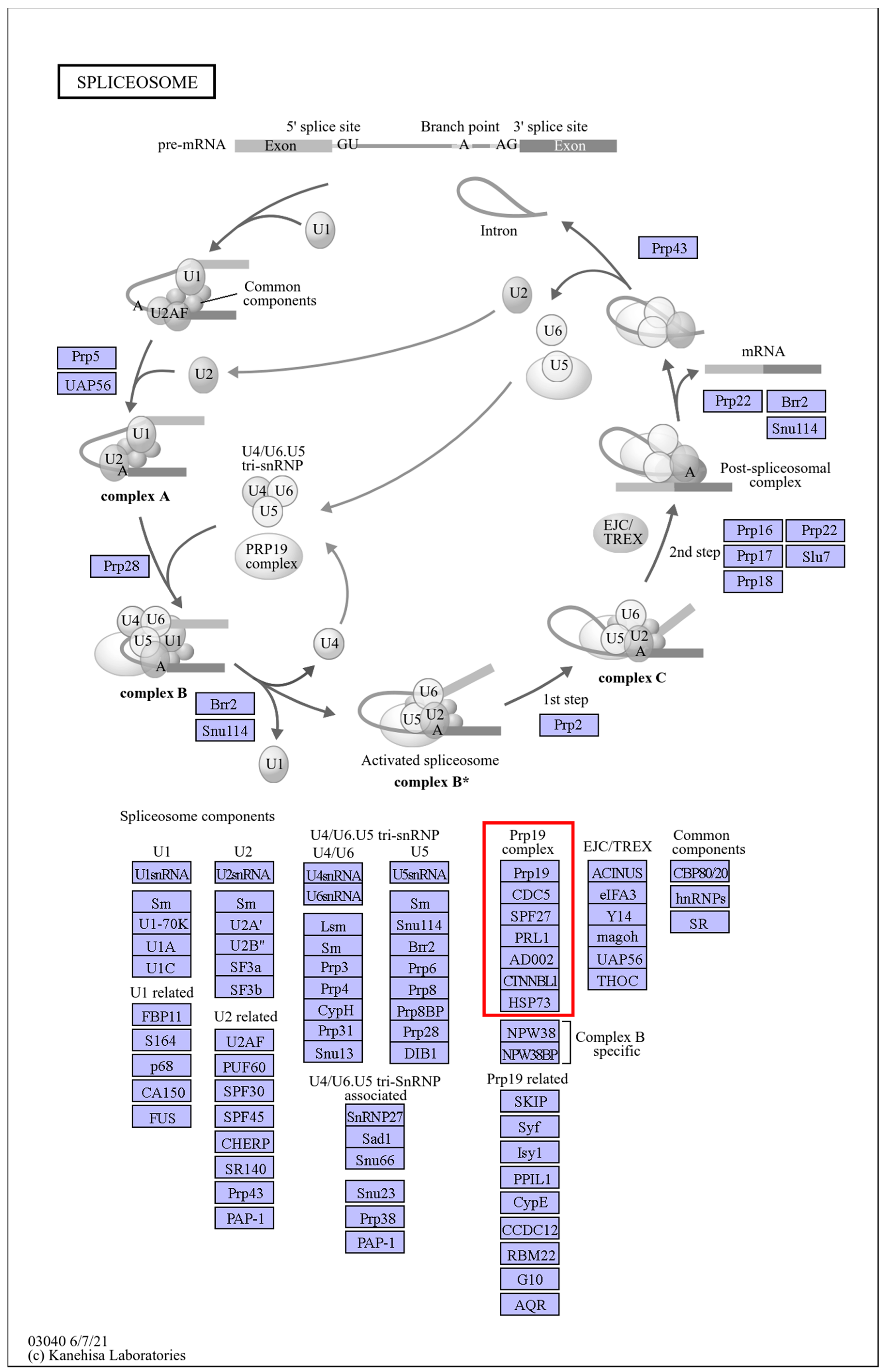 Plants 13 03089 g006