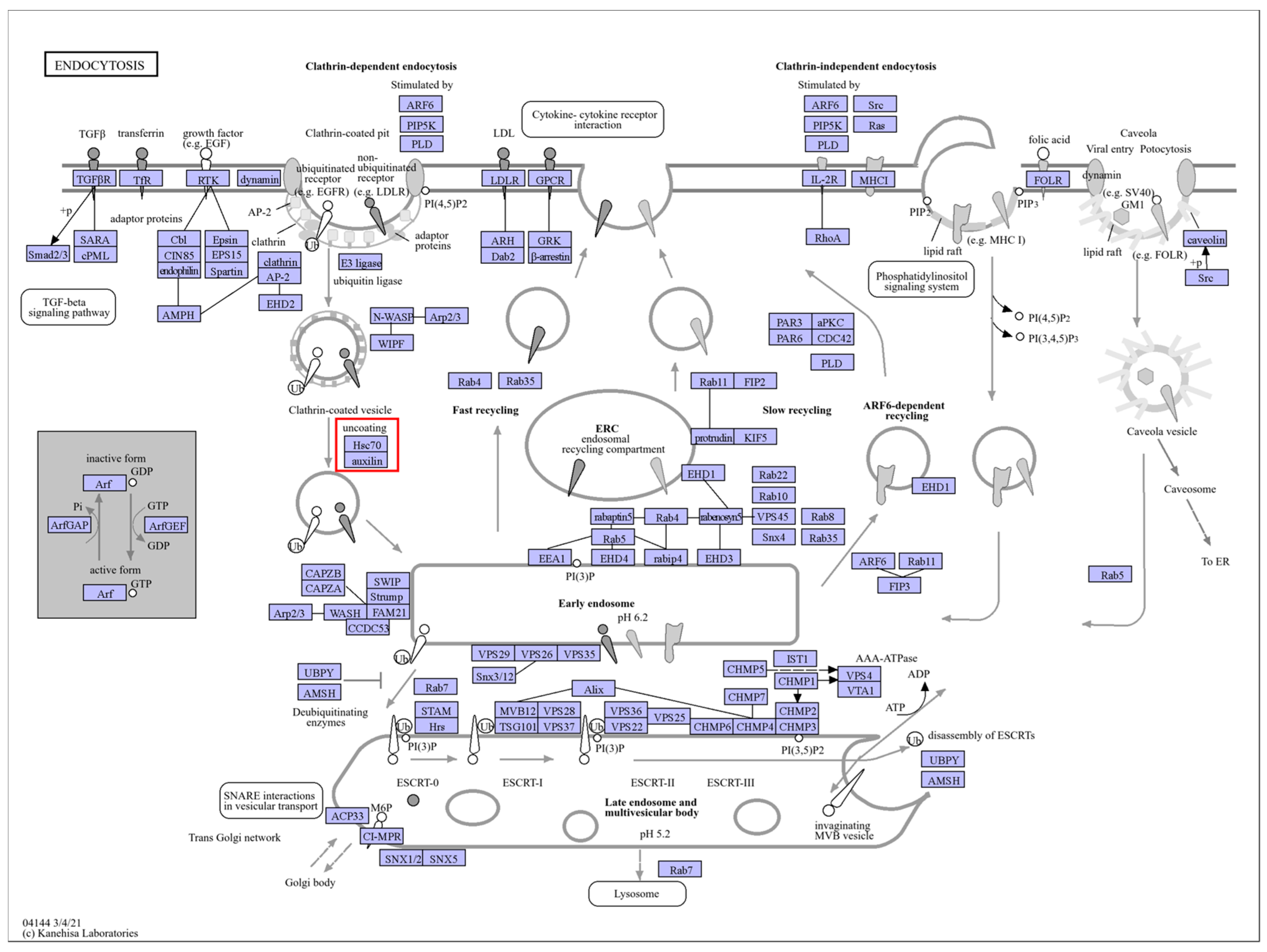 Plants 13 03089 g008