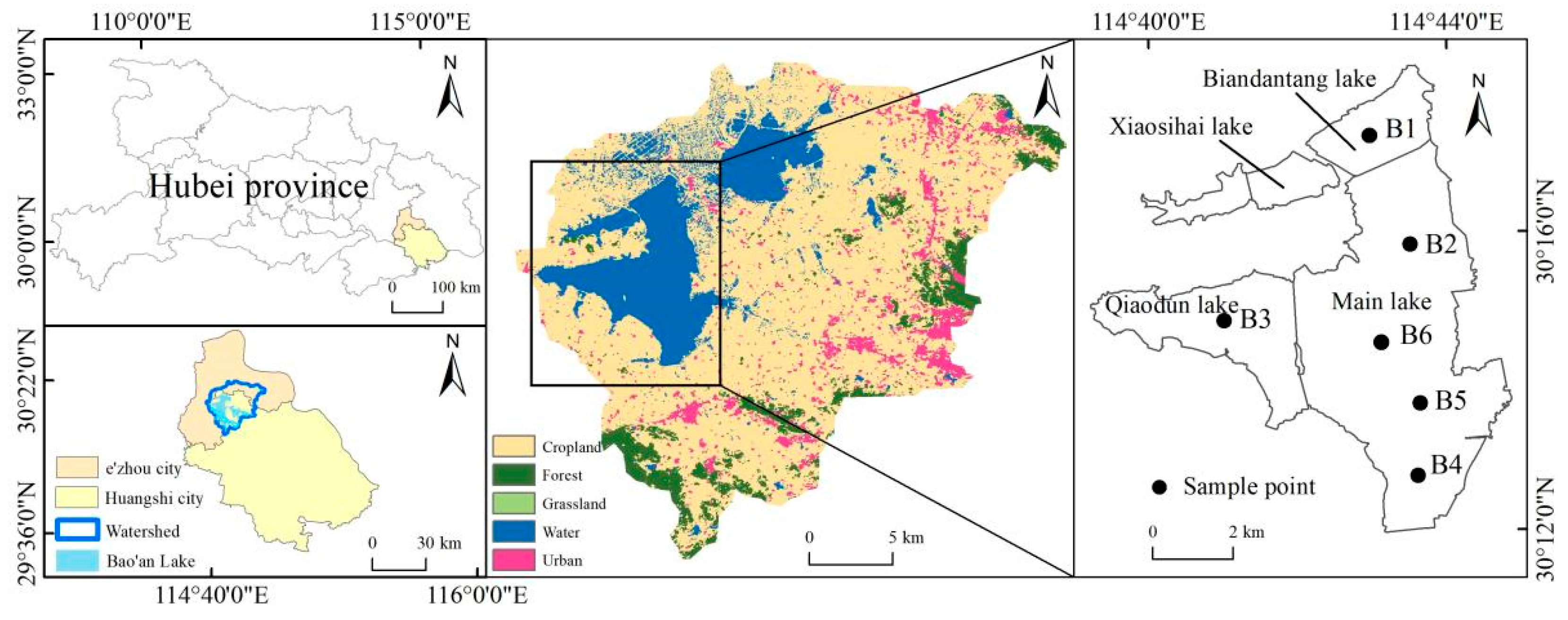 Plants 13 03090 g001
