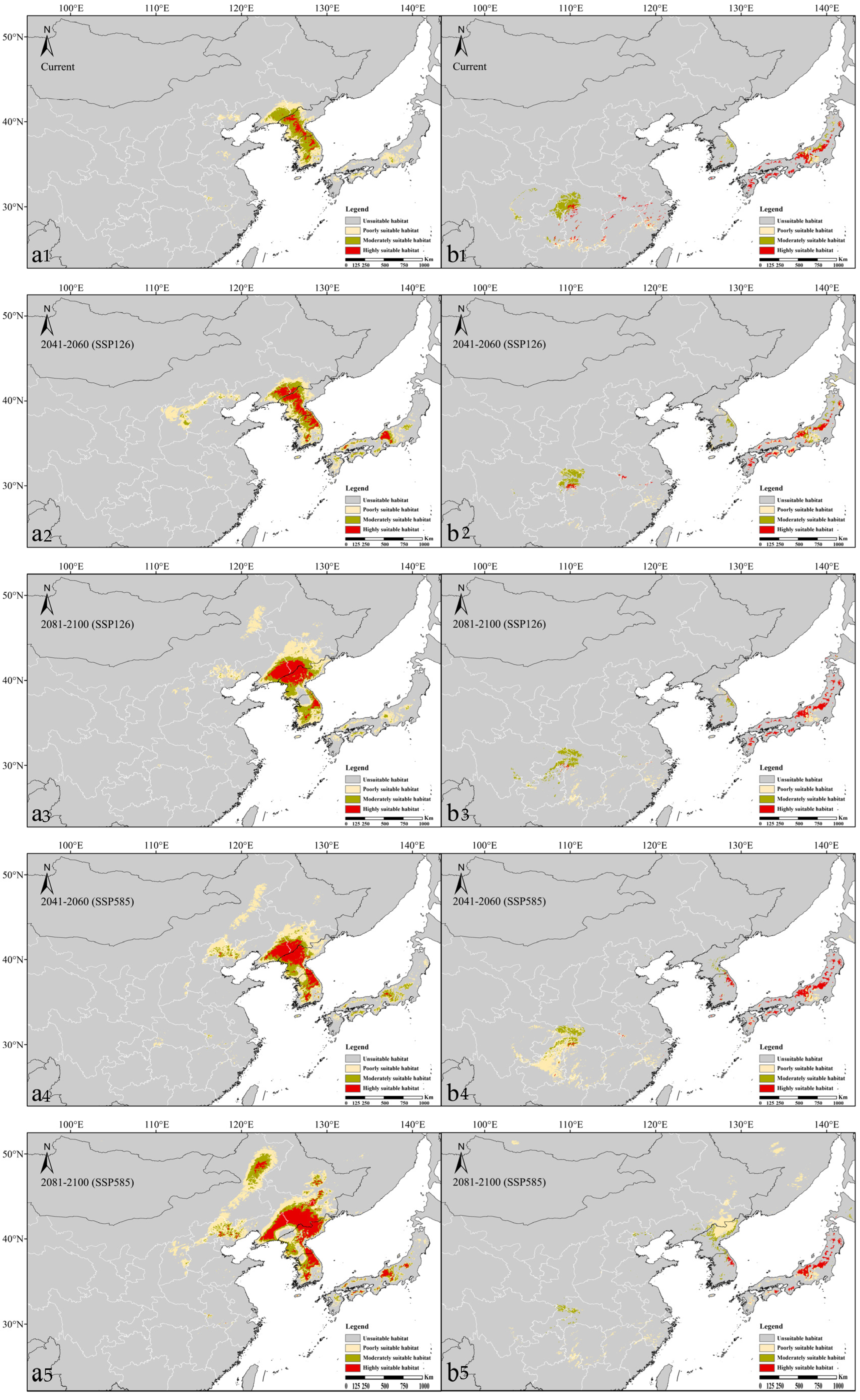 Plants 13 03097 g003 Plants 13 03097 g003