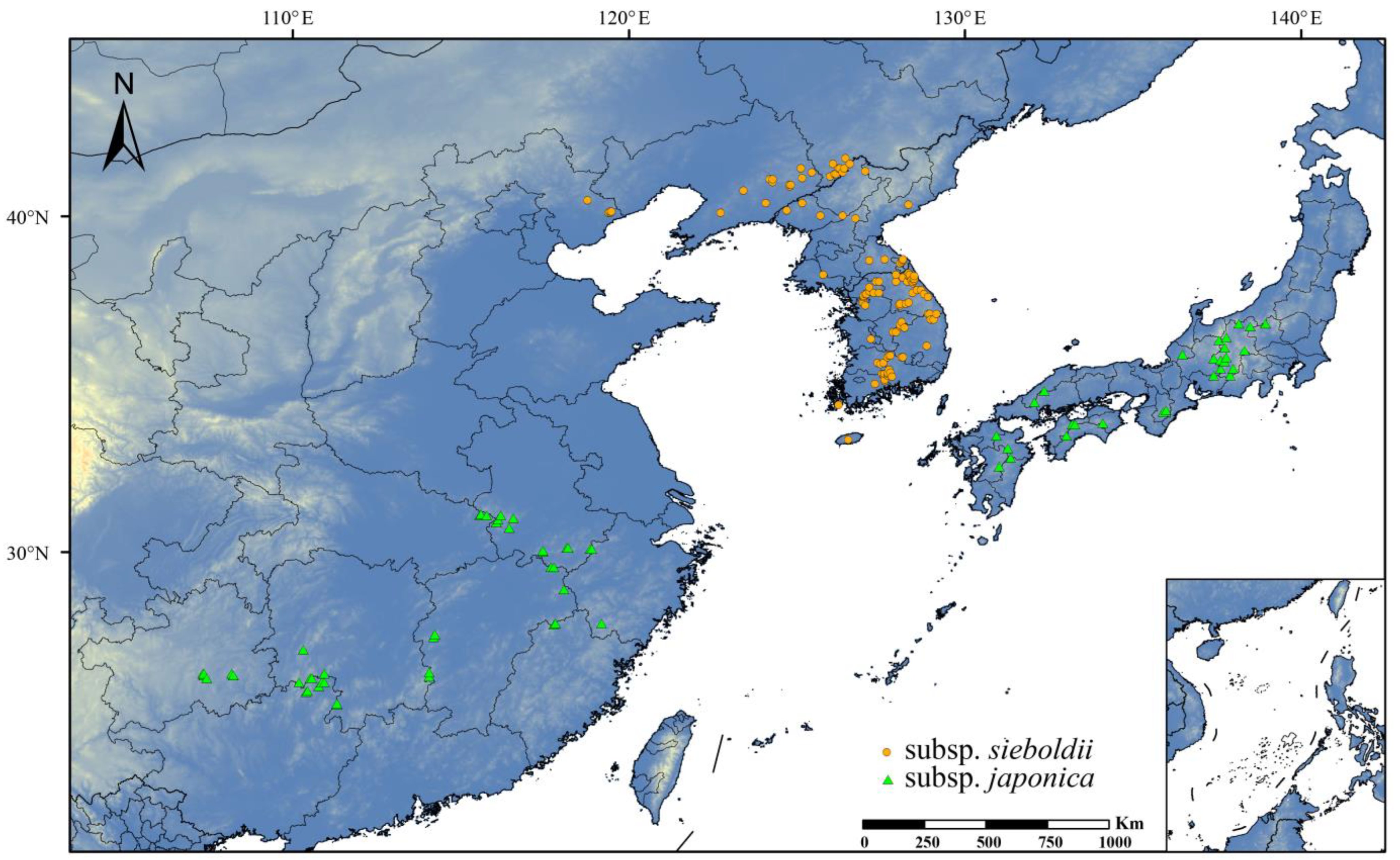 Plants 13 03097 g006 Plants 13 03097 g006