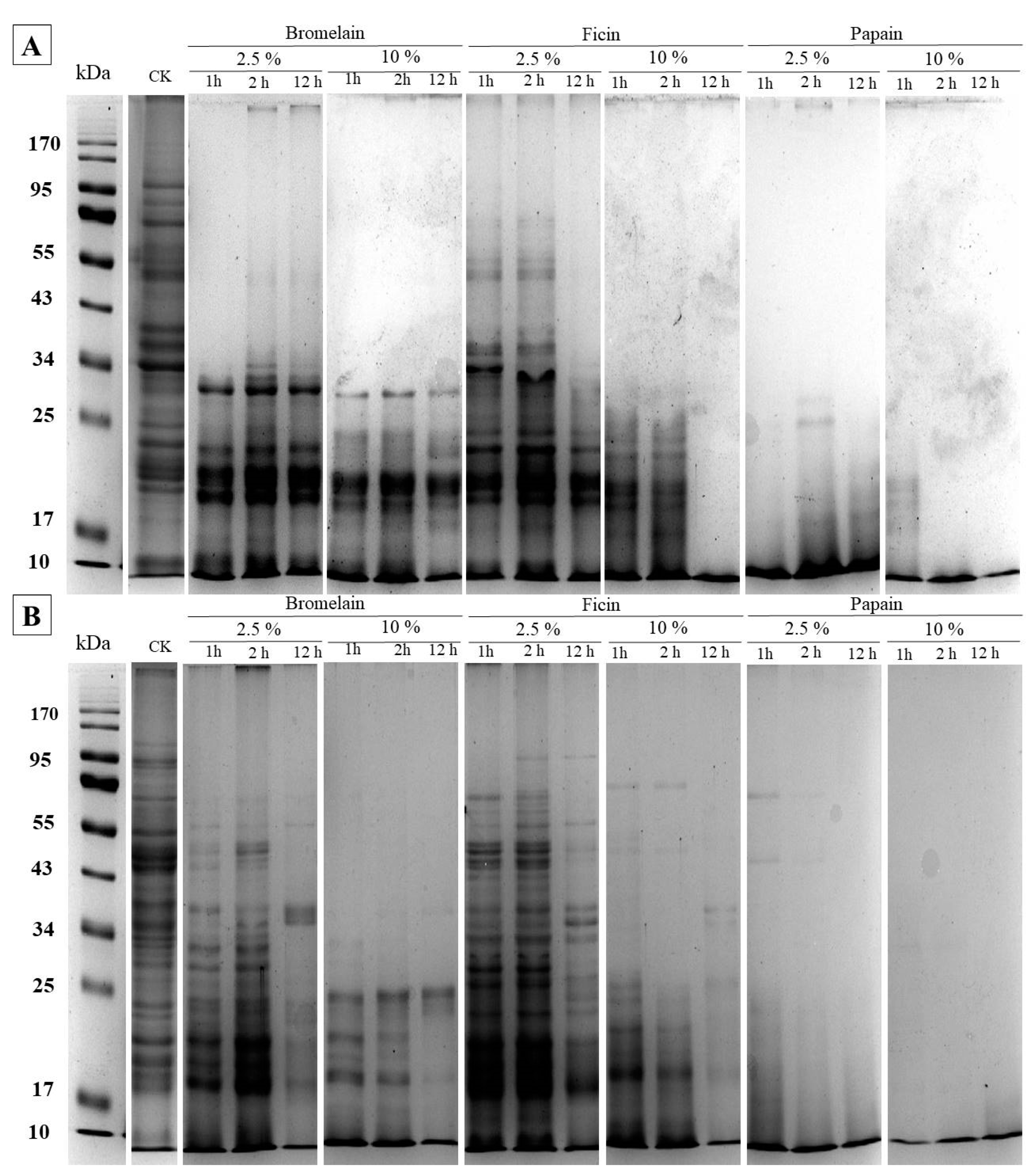 Plants 13 03100 g001
