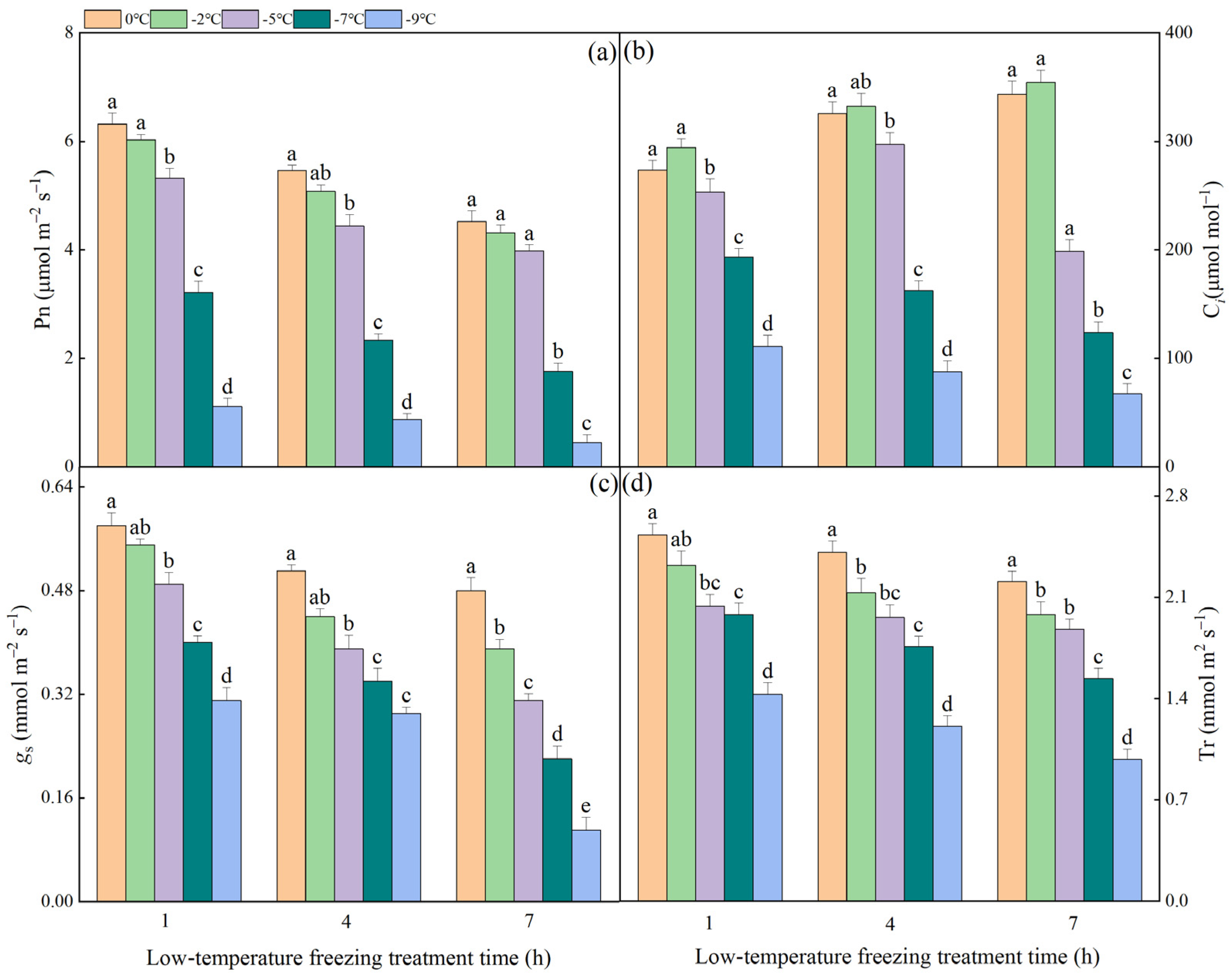 Plants 13 03109 g001