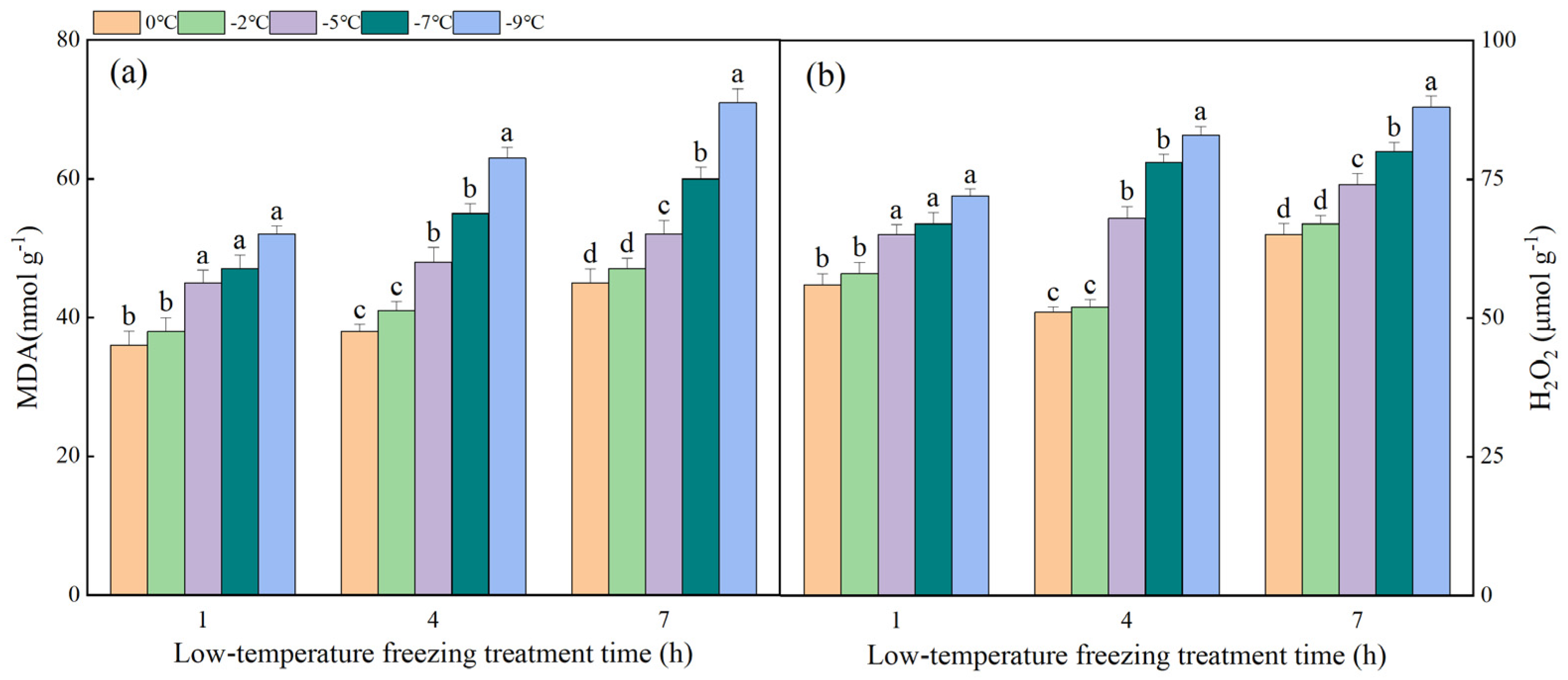 Plants 13 03109 g004