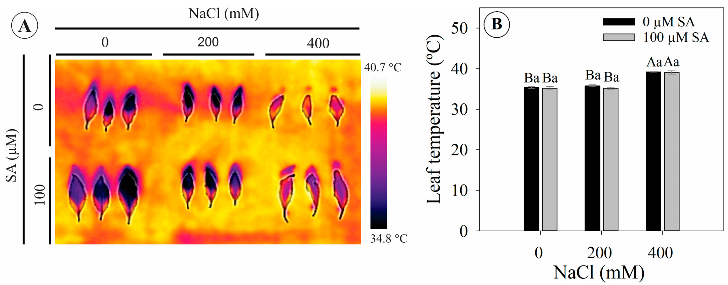 Plants 13 03111 g005