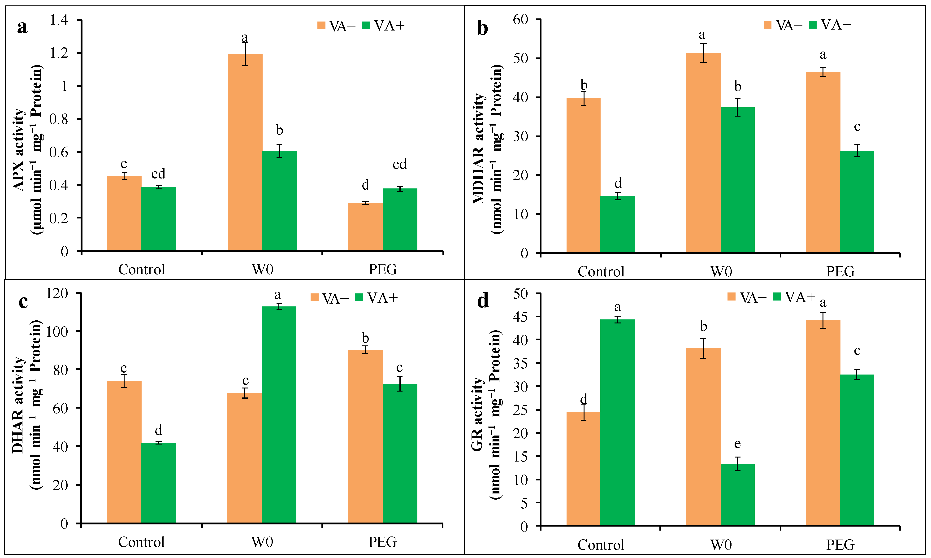 Plants 13 03114 g008