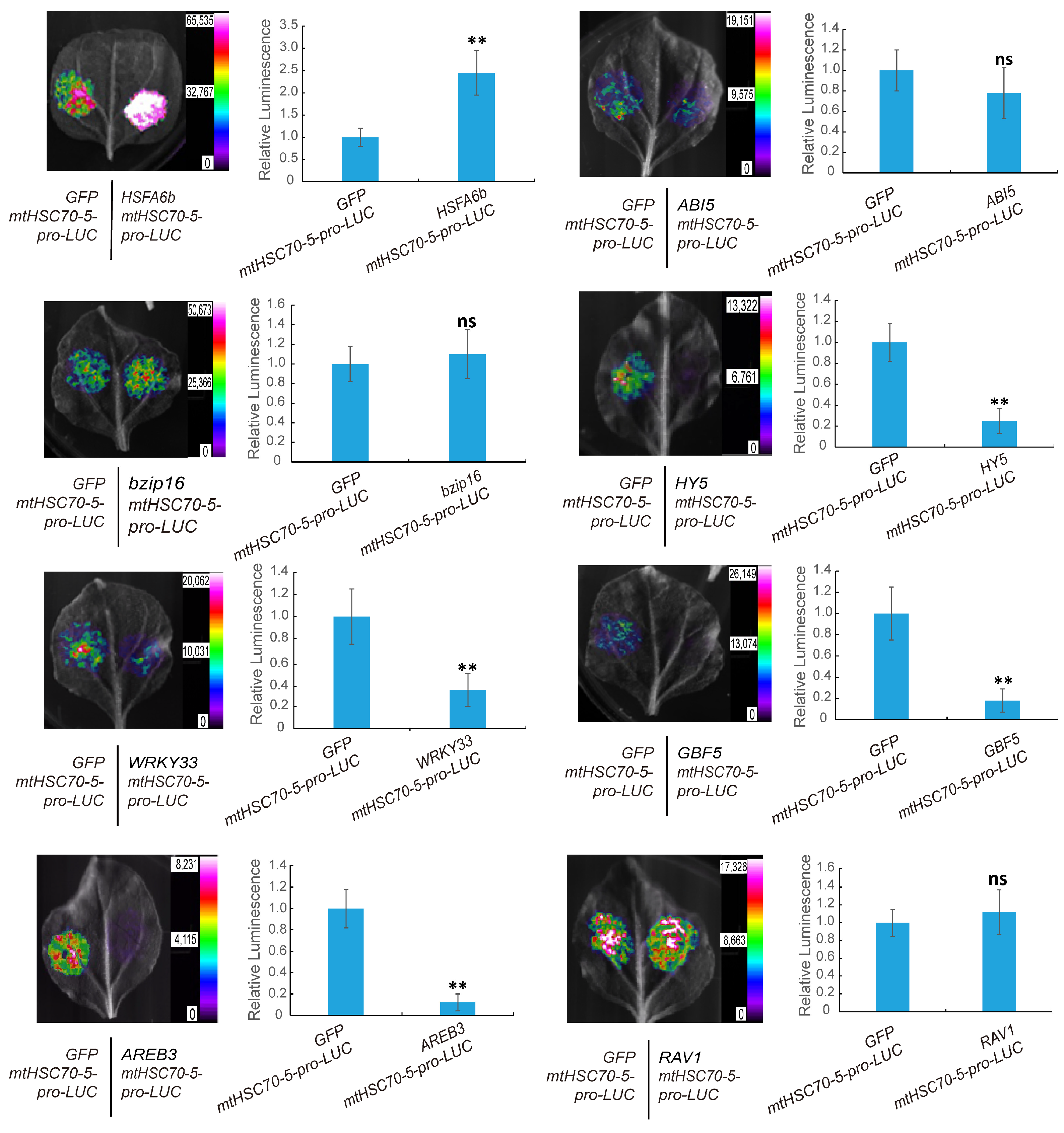 Plants 13 03116 g001