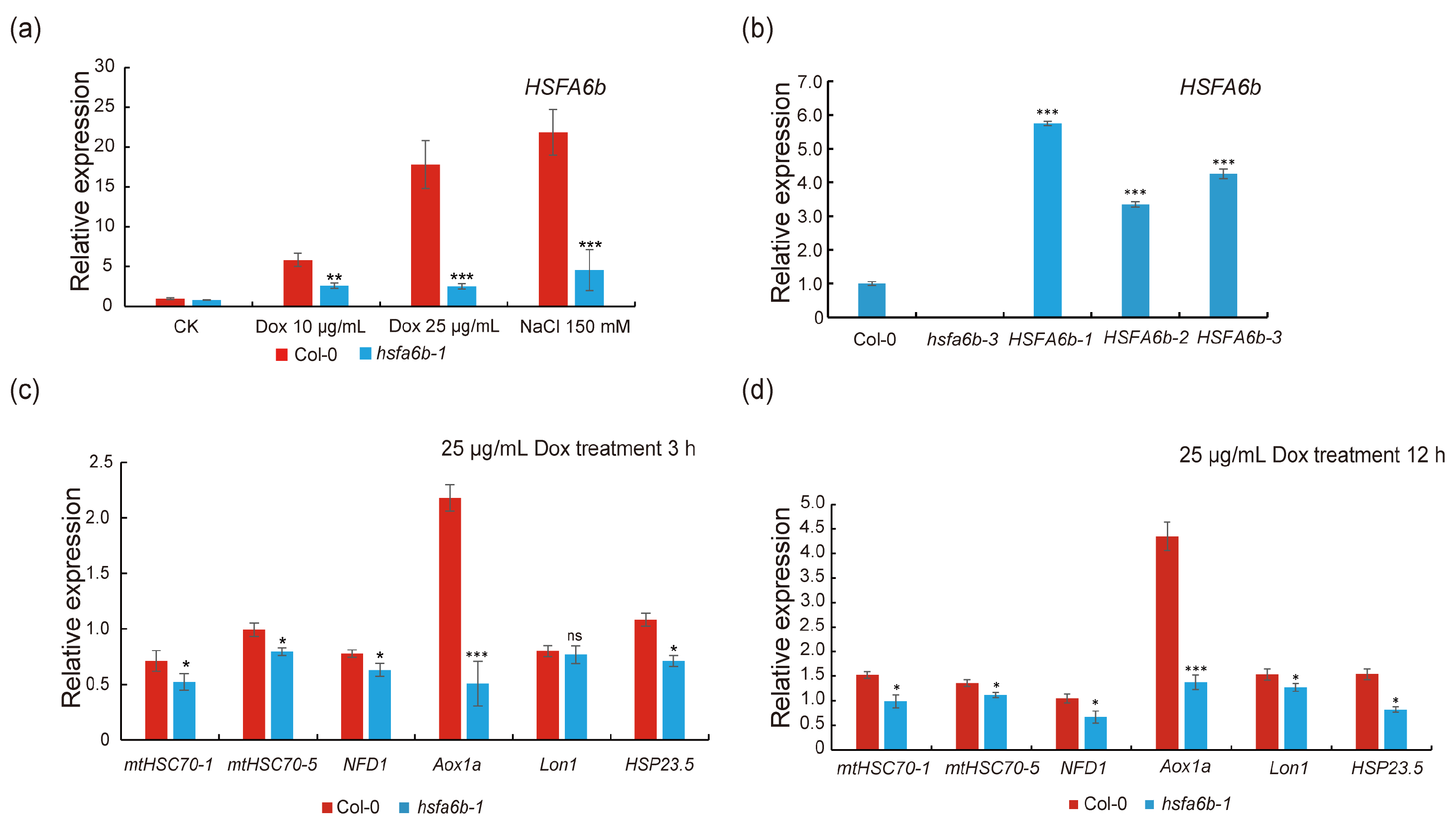 Plants 13 03116 g002