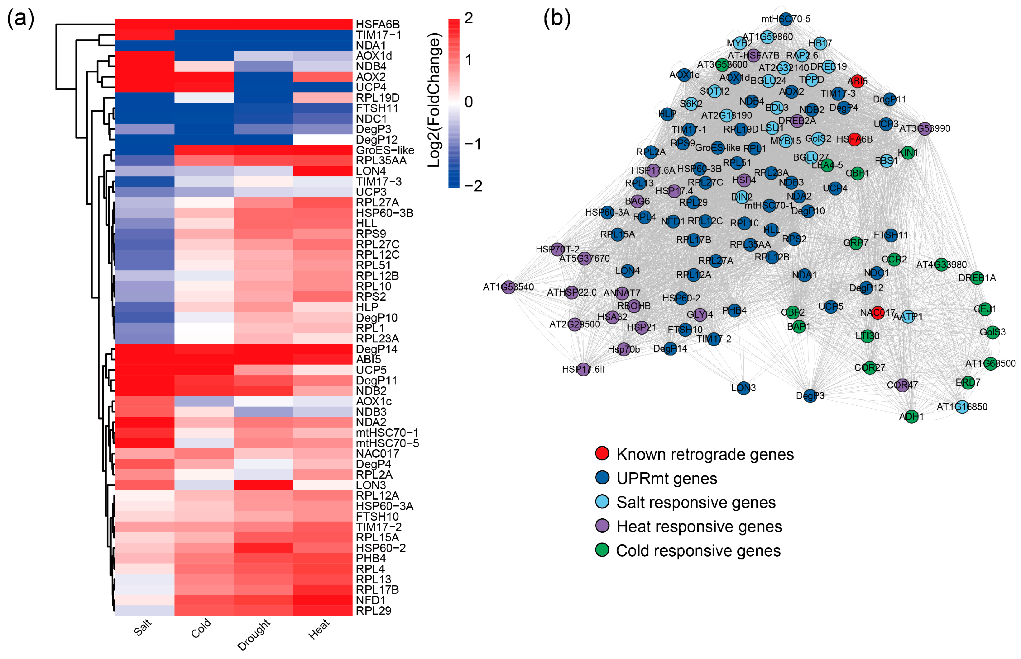 Plants 13 03116 g007