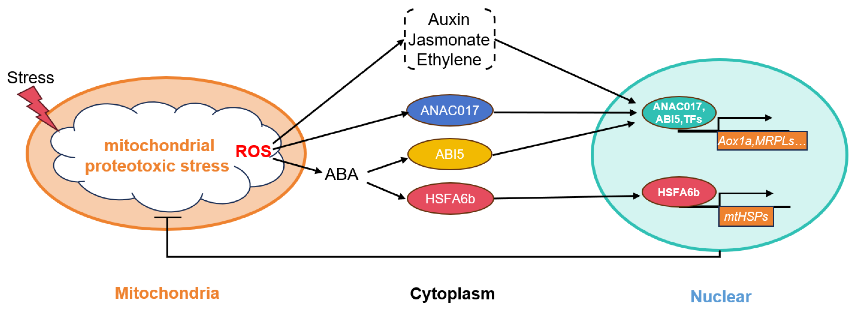 Plants 13 03116 g008