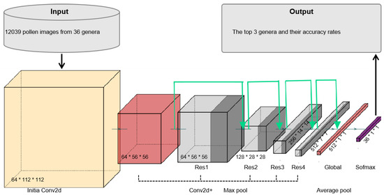 AIpollen: An Analytic Website for Pollen Identification Through