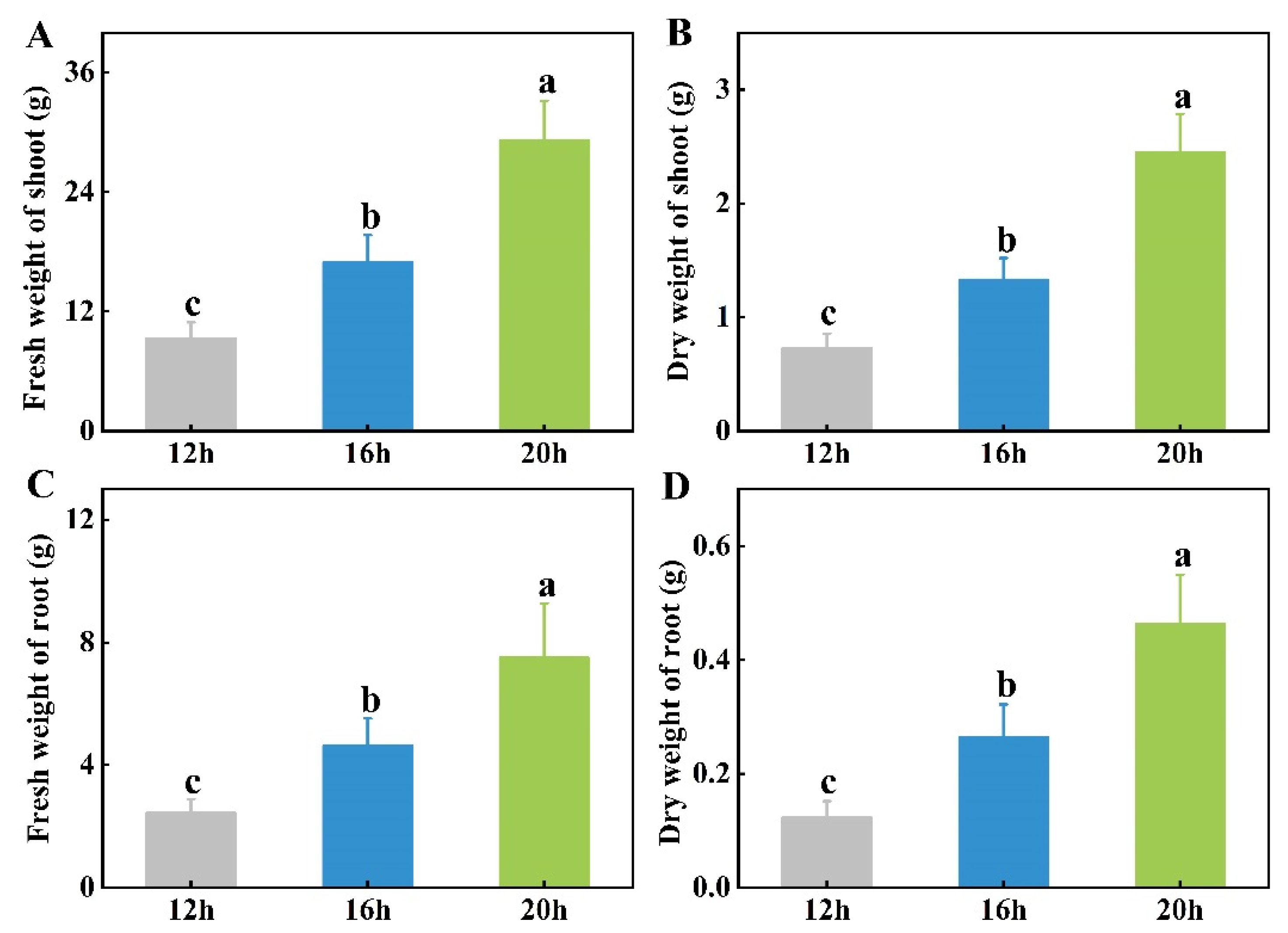 Plants 13 03119 g003