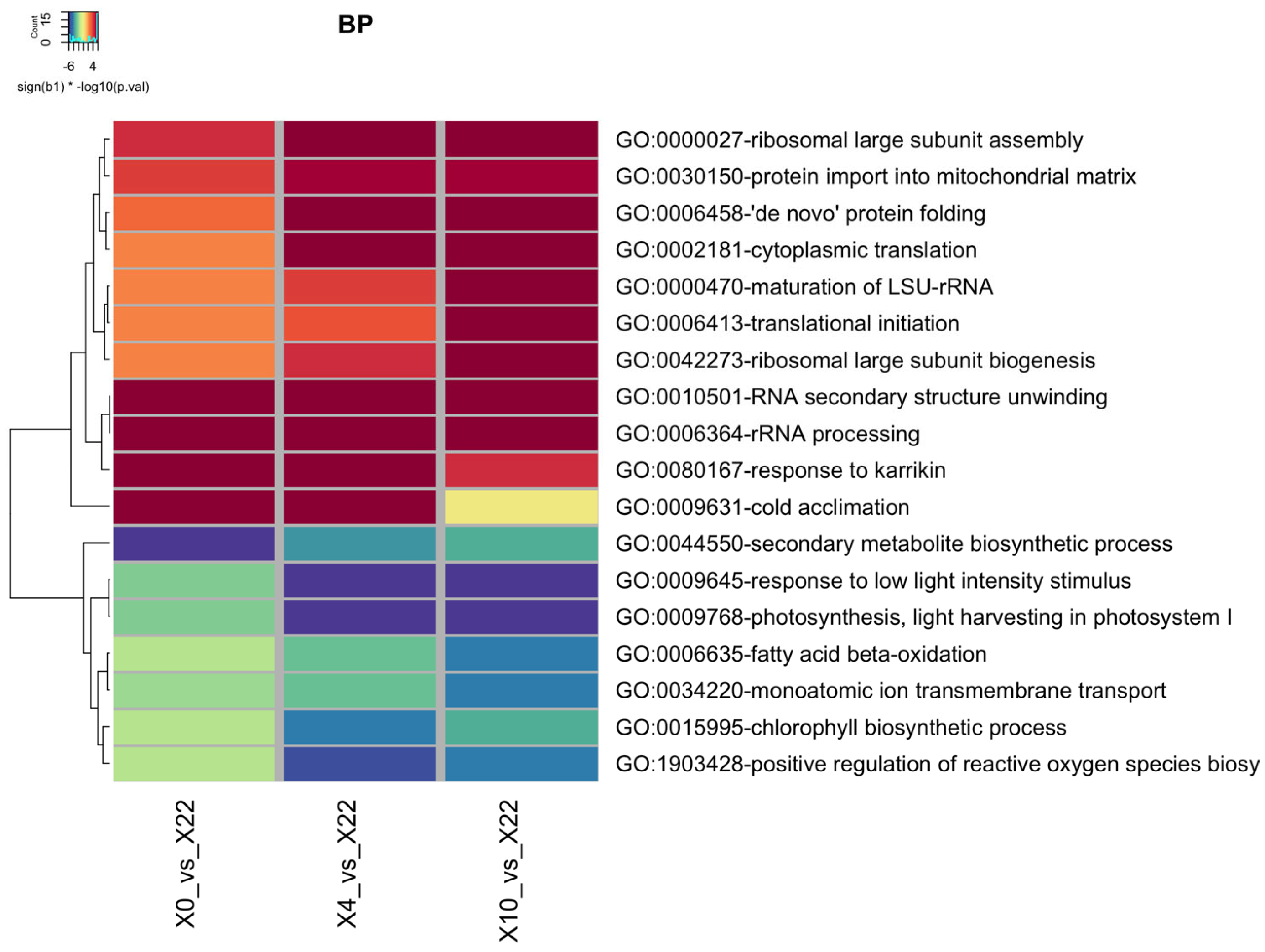 Plants 13 03127 g005
