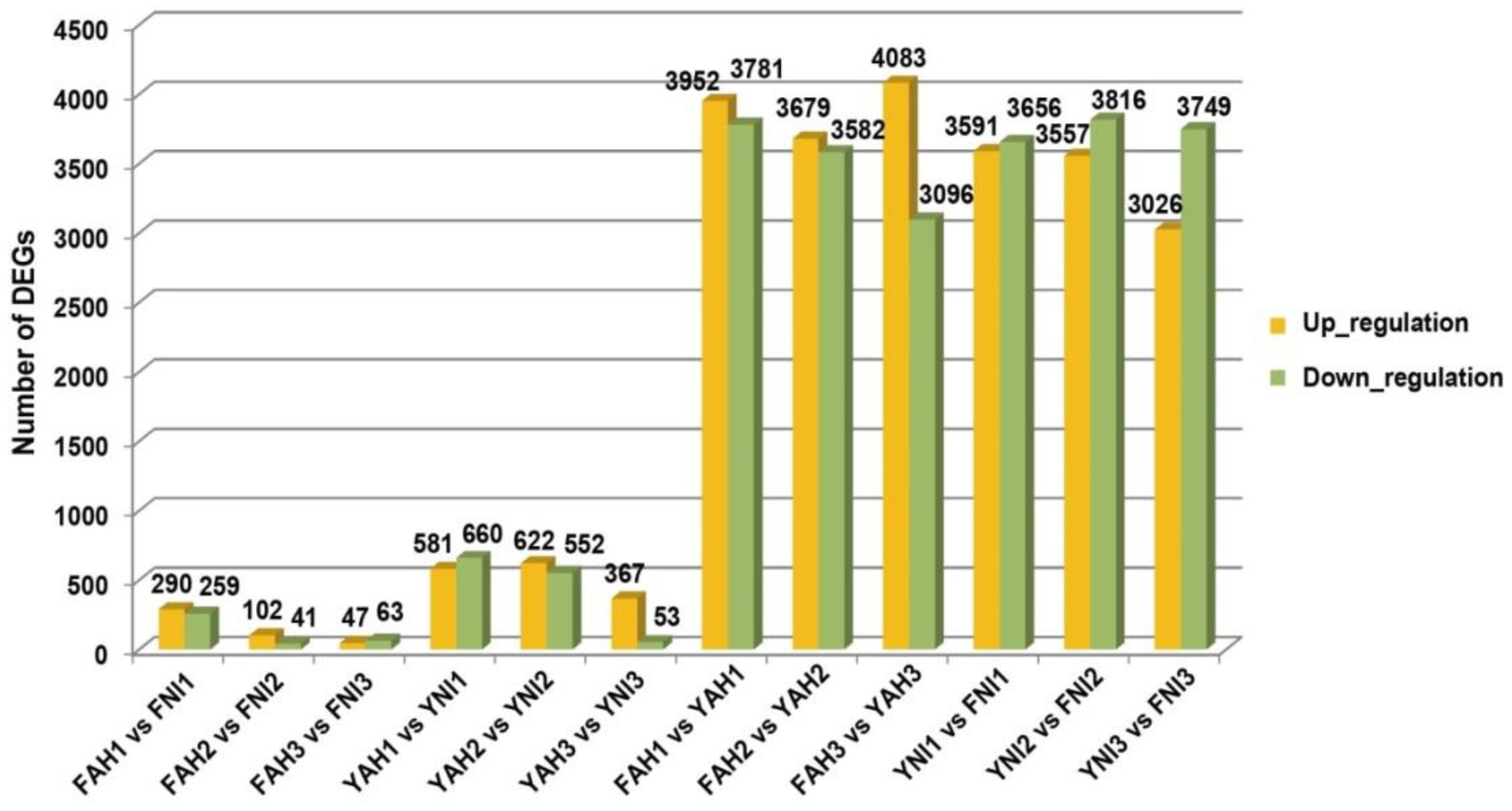 Plants 13 03129 g002