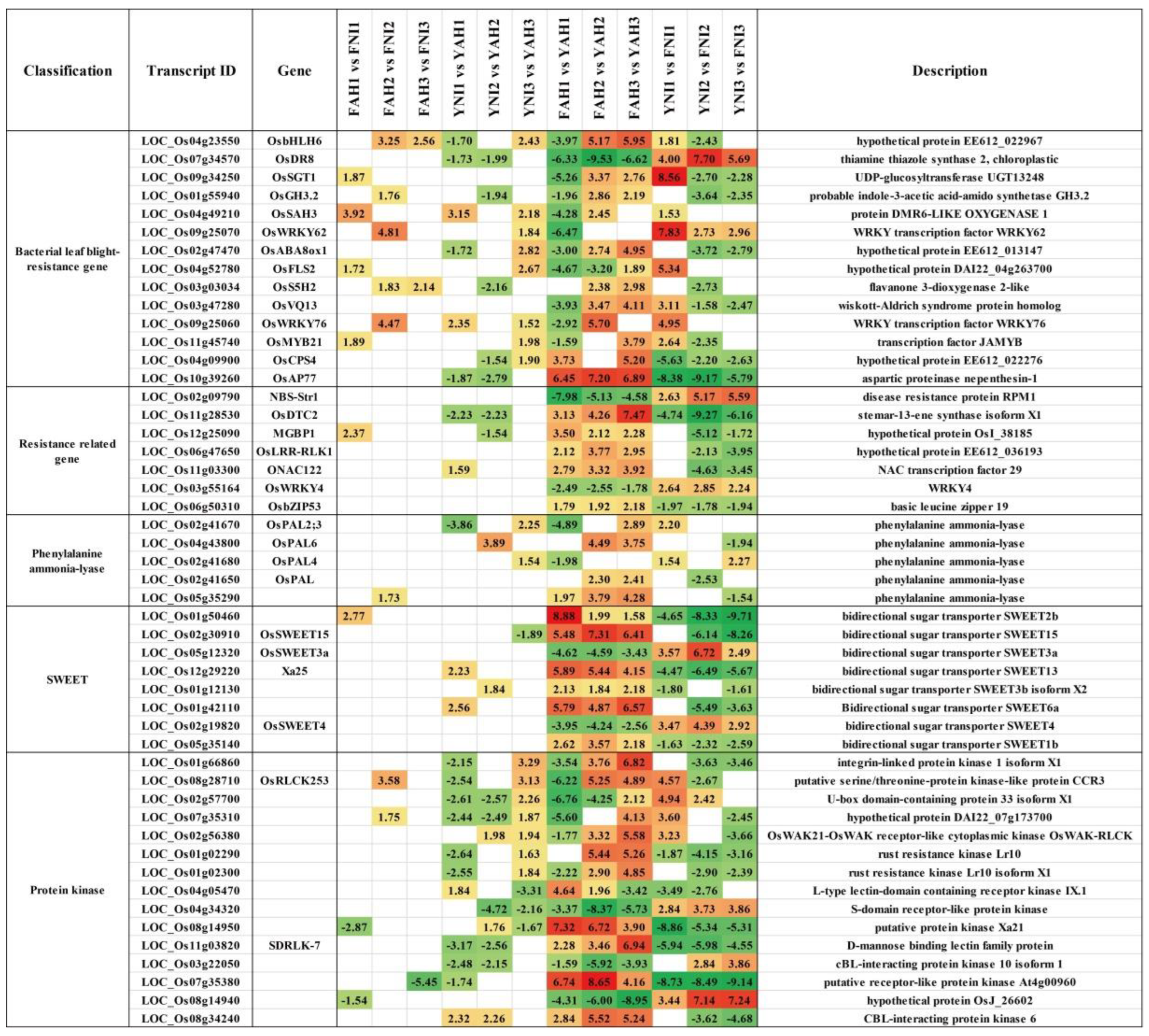 Plants 13 03129 g005
