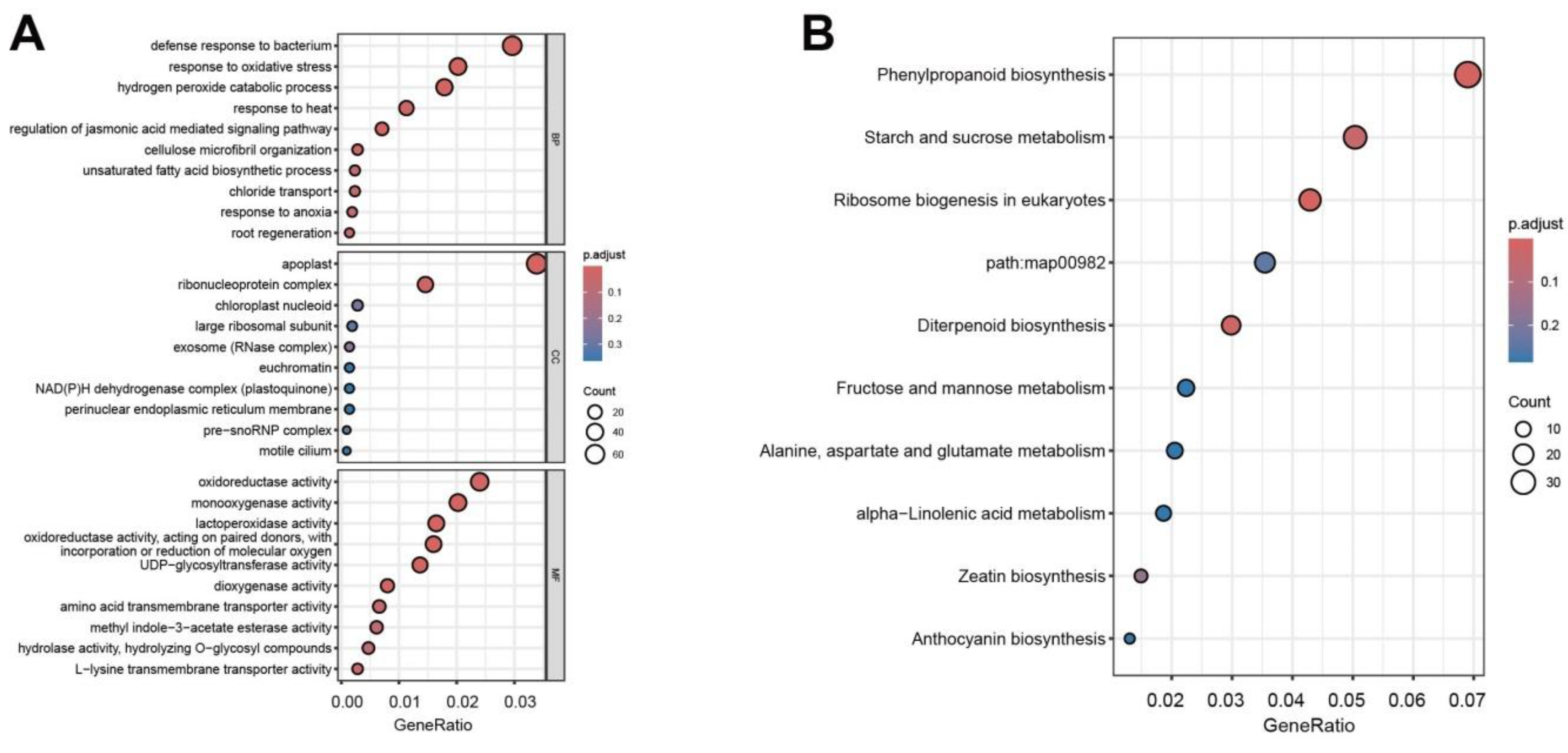 Plants 13 03129 g006