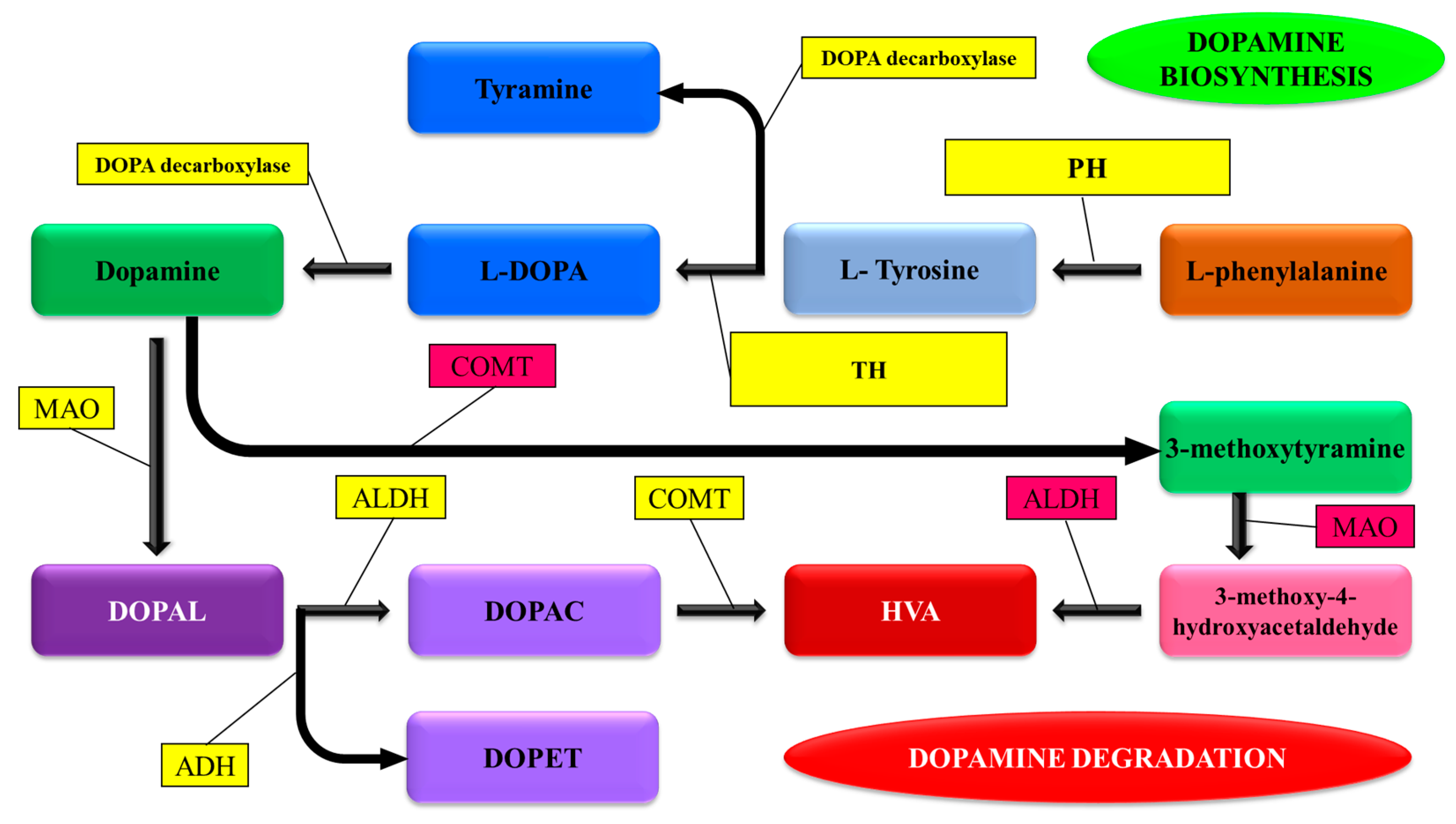 Plants 13 03134 g002