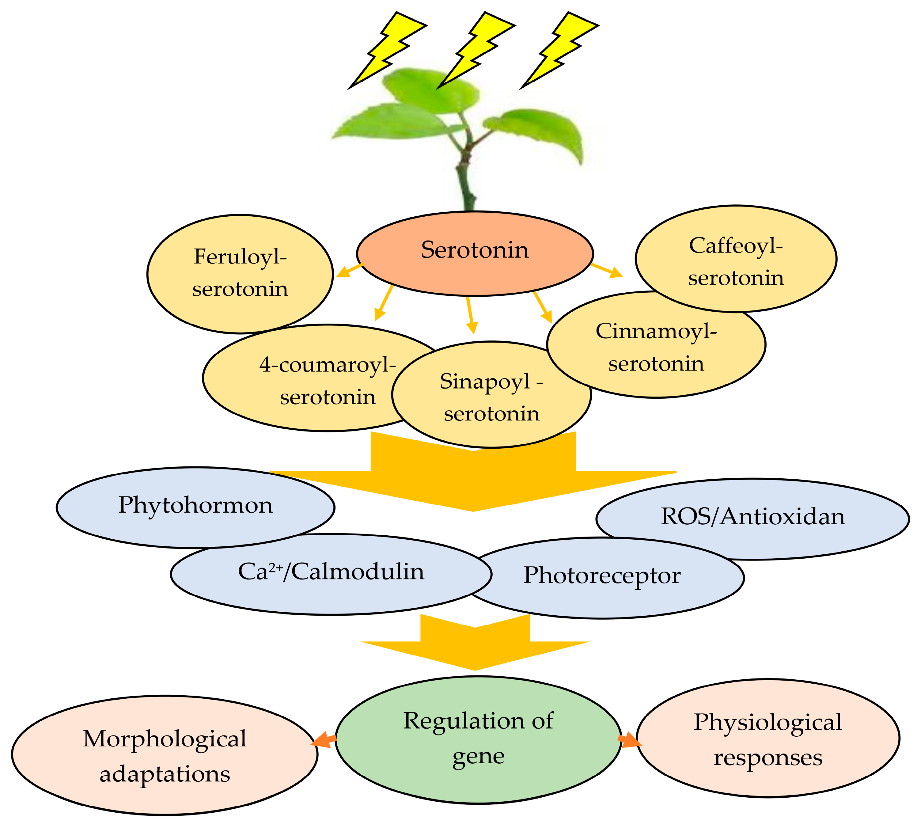 Plants 13 03134 g008