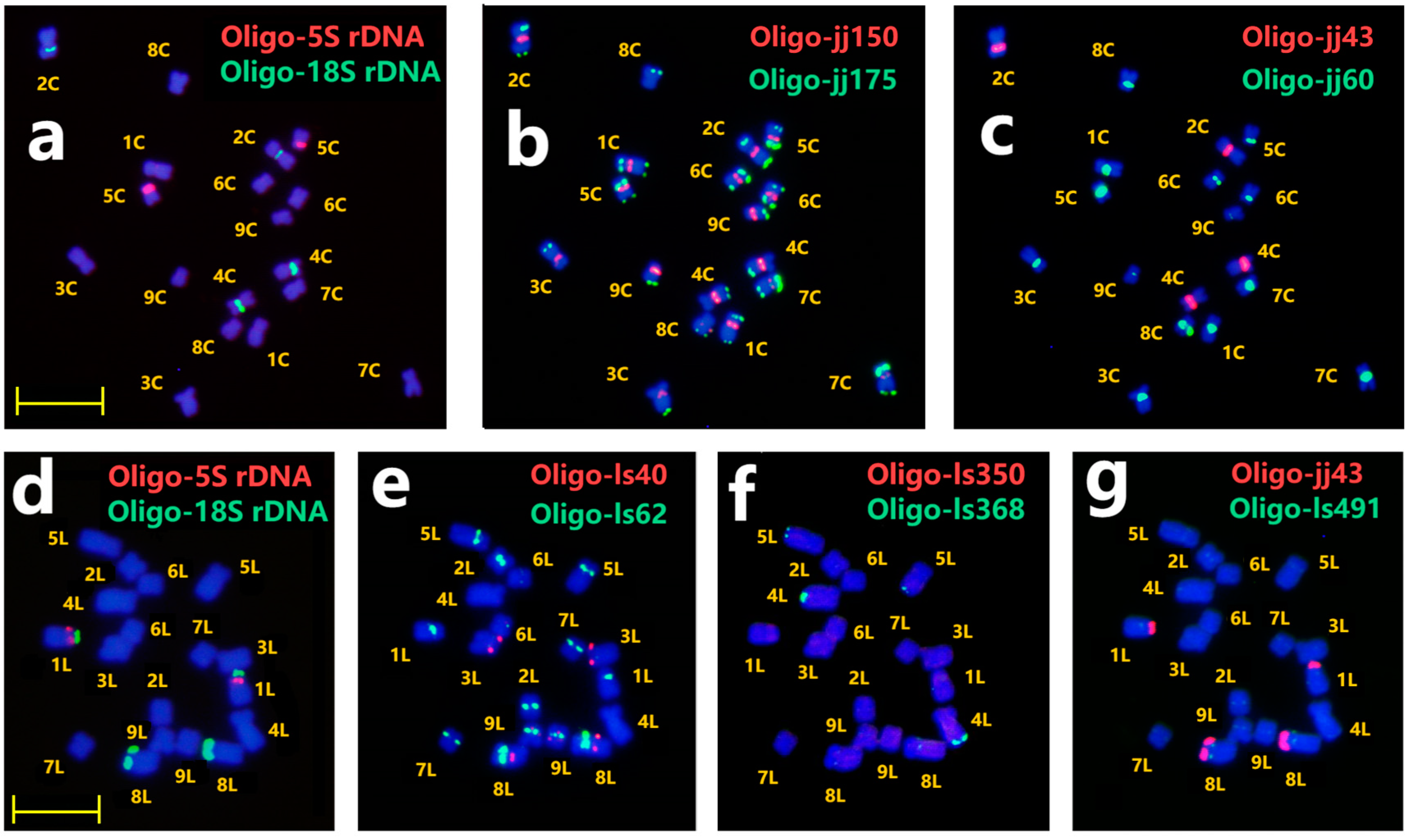 Plants 13 03135 g002 Plants 13 03135 g002