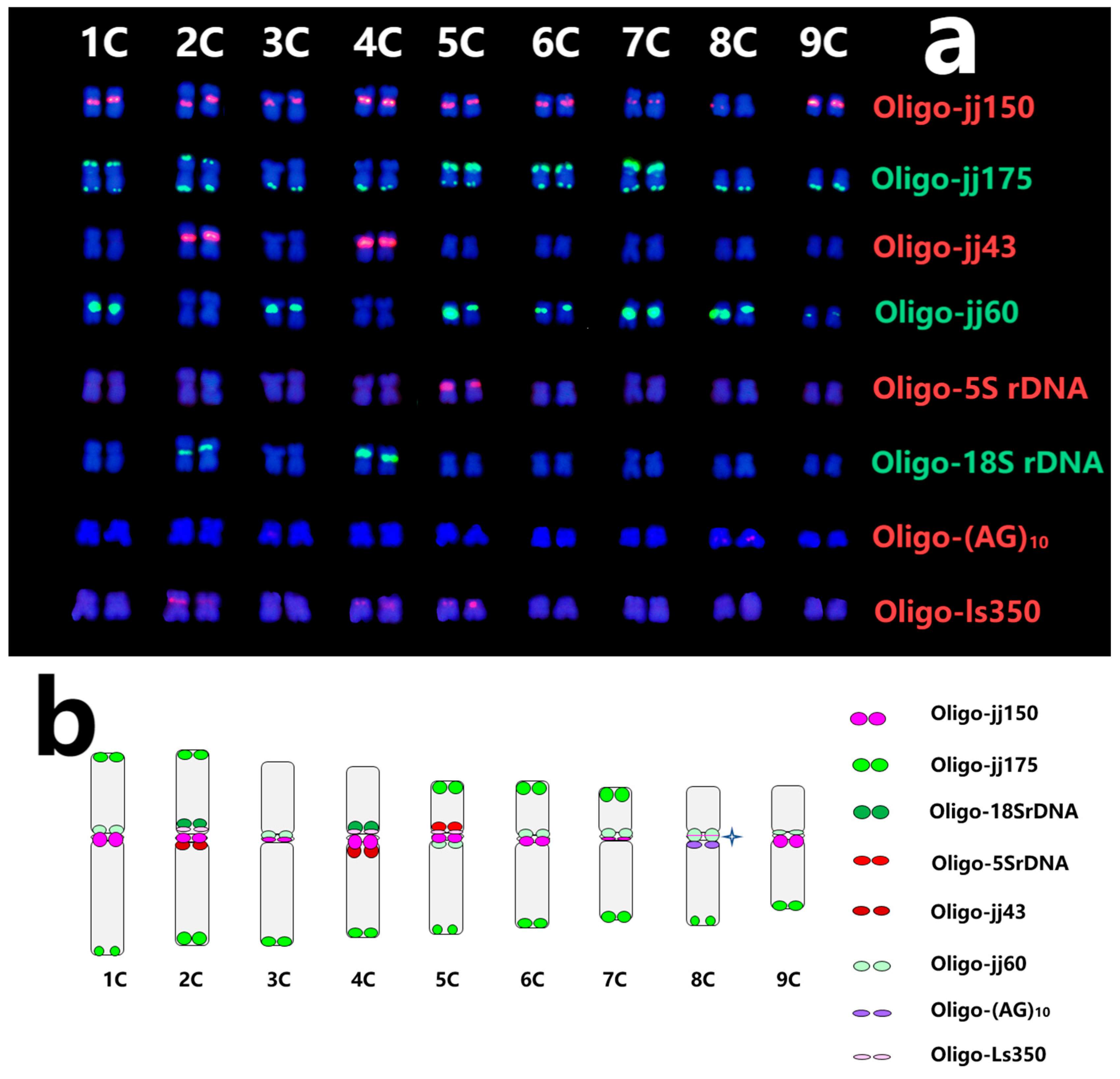 Plants 13 03135 g003 Plants 13 03135 g003
