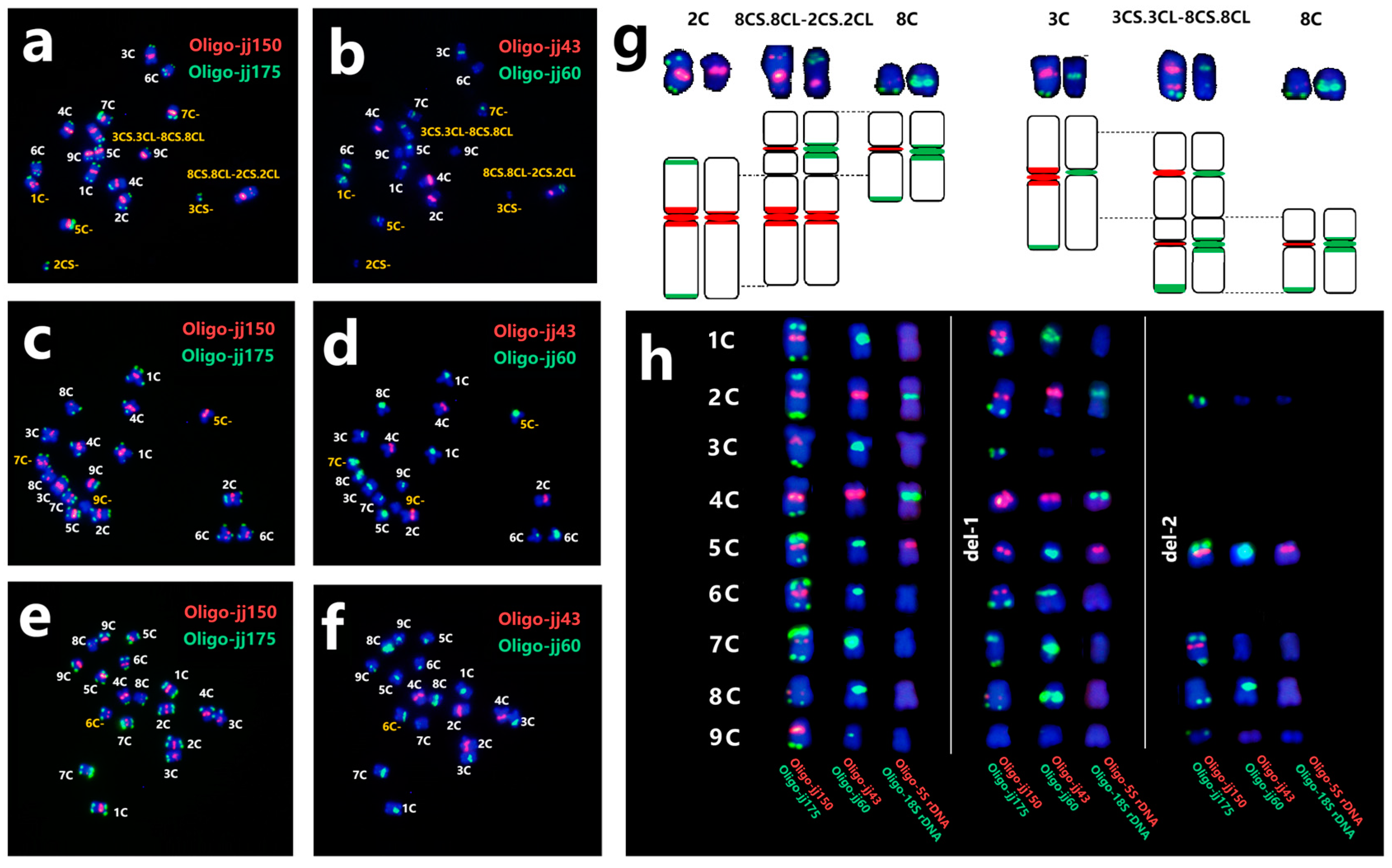 Plants 13 03135 g004 Plants 13 03135 g004