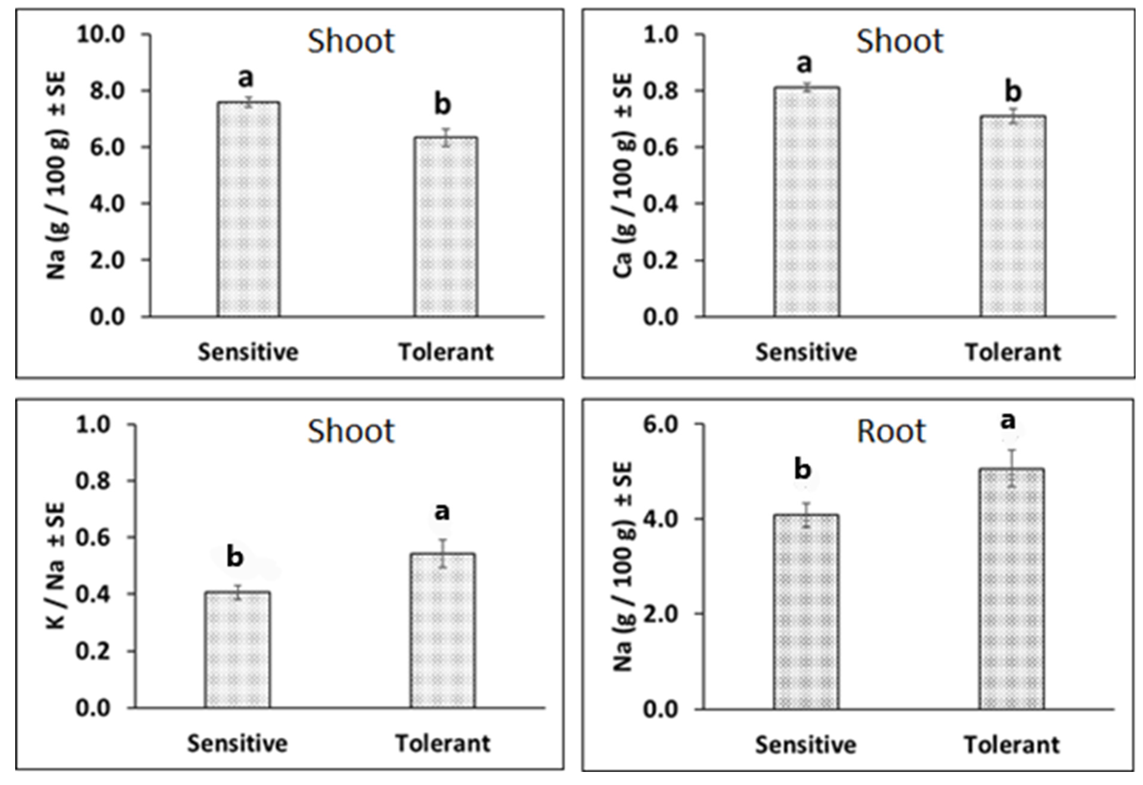 Plants 13 03140 g003