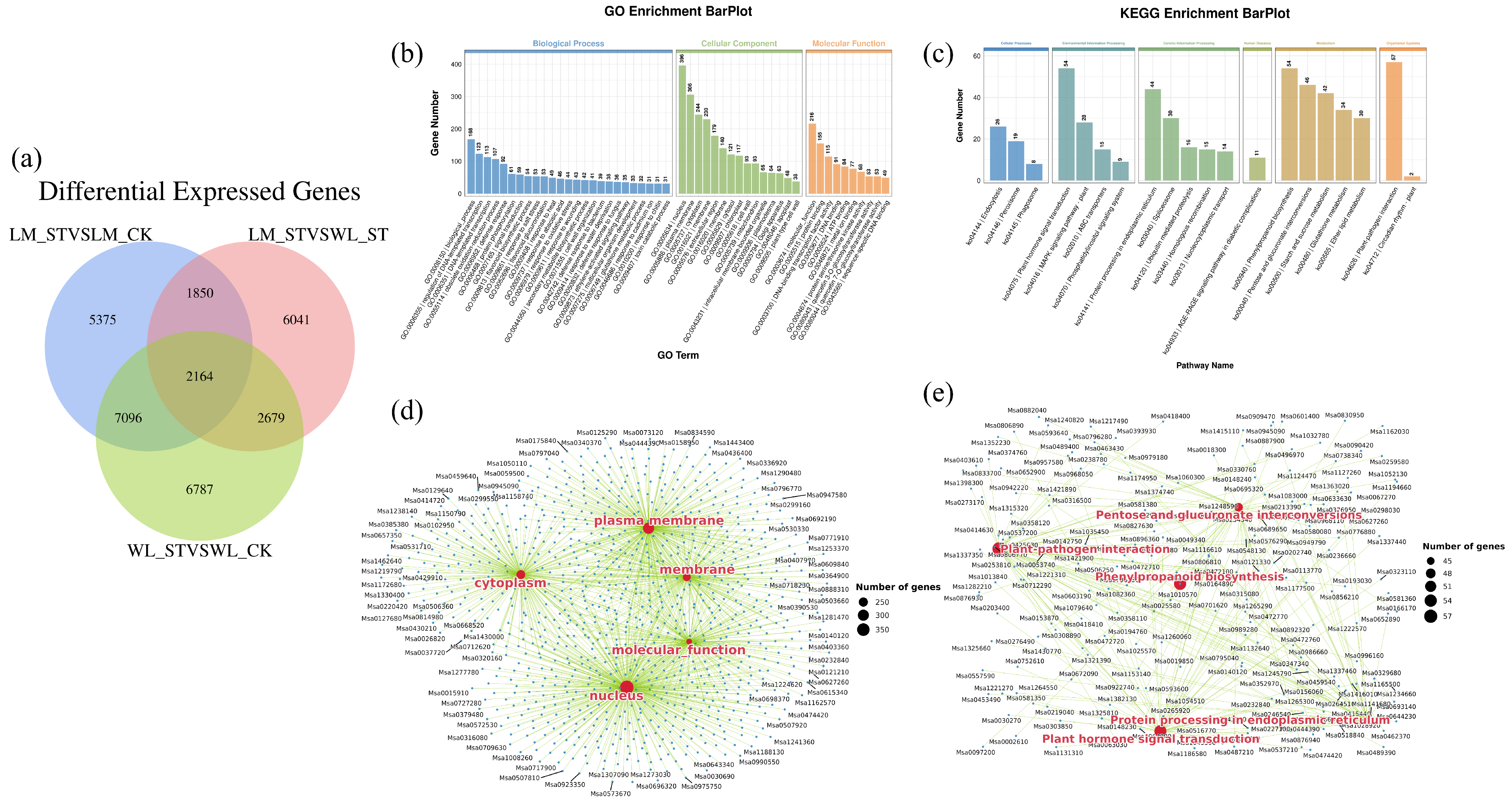 Plants 13 03141 g012