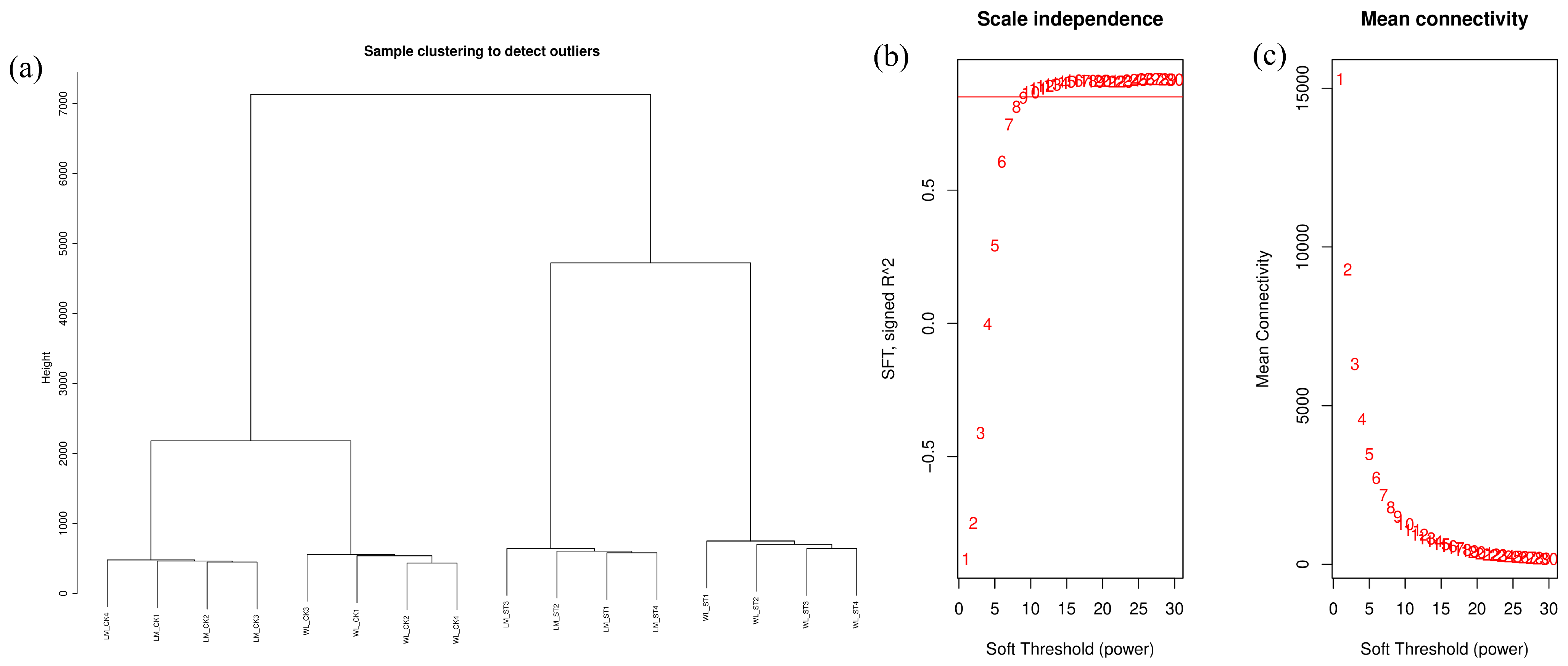 Plants 13 03141 g013