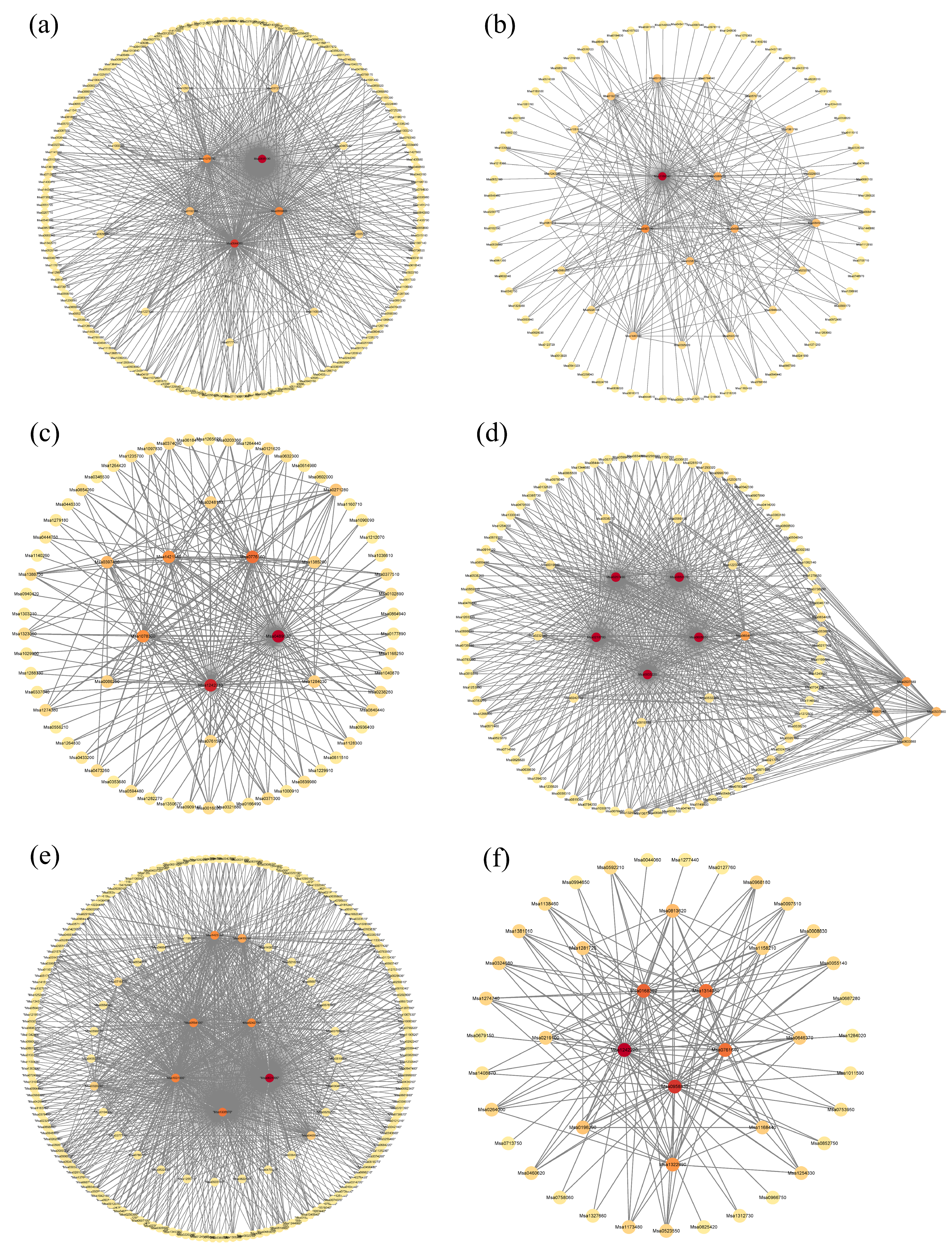 Plants 13 03141 g015