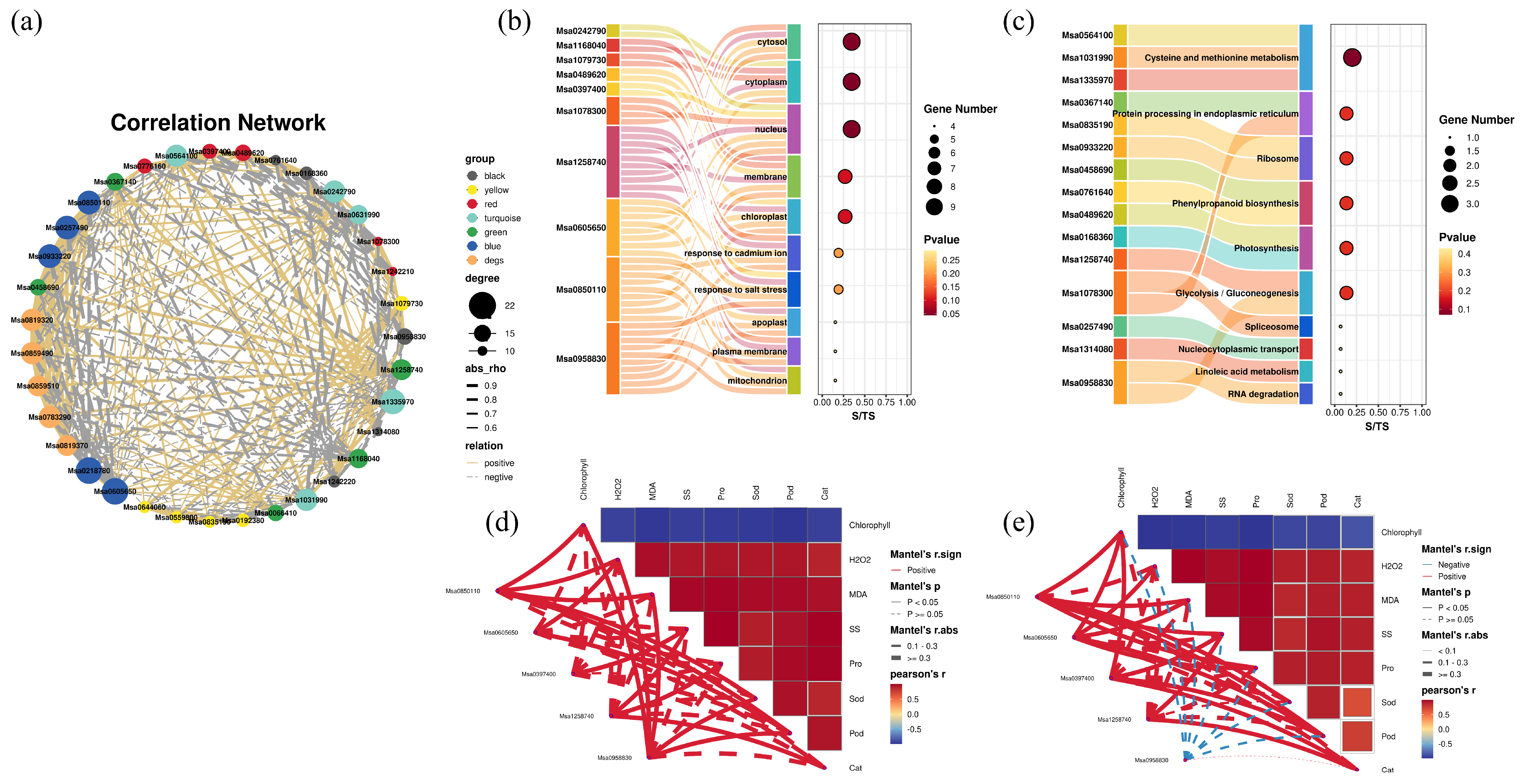 Plants 13 03141 g016