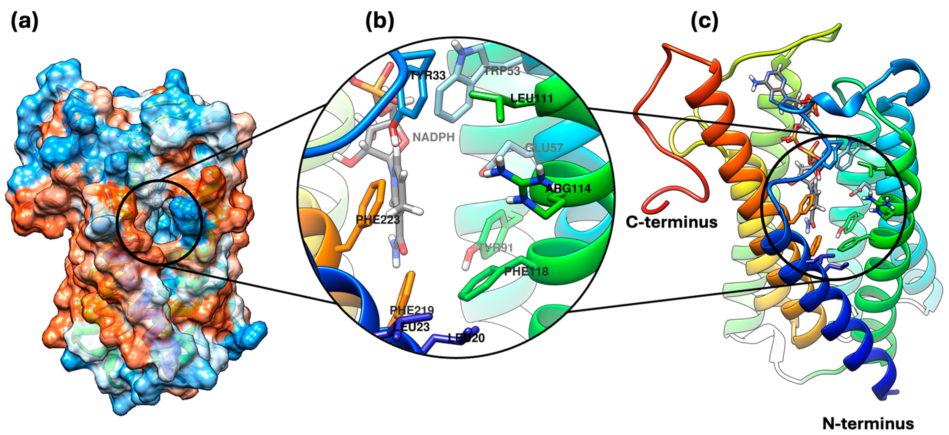 Plants 13 03146 g005