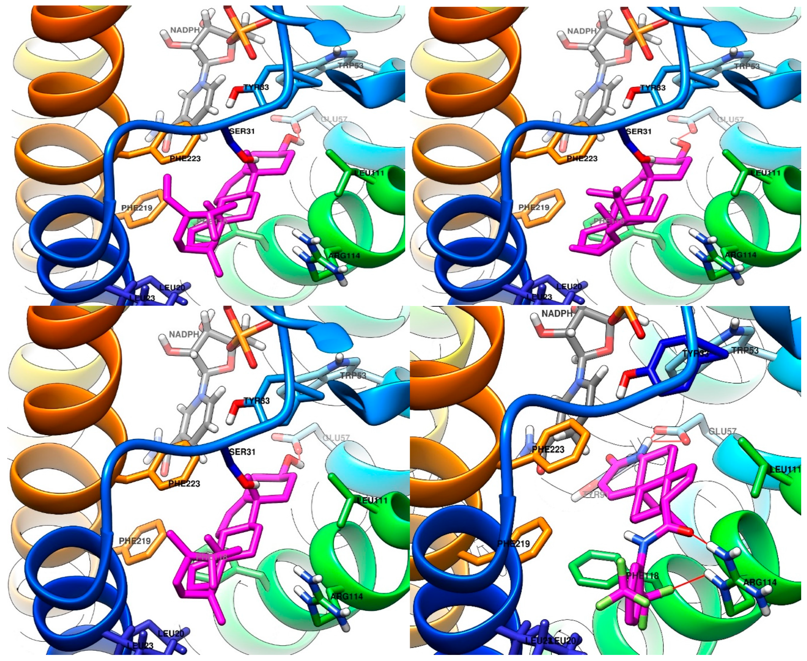 Plants 13 03146 g006