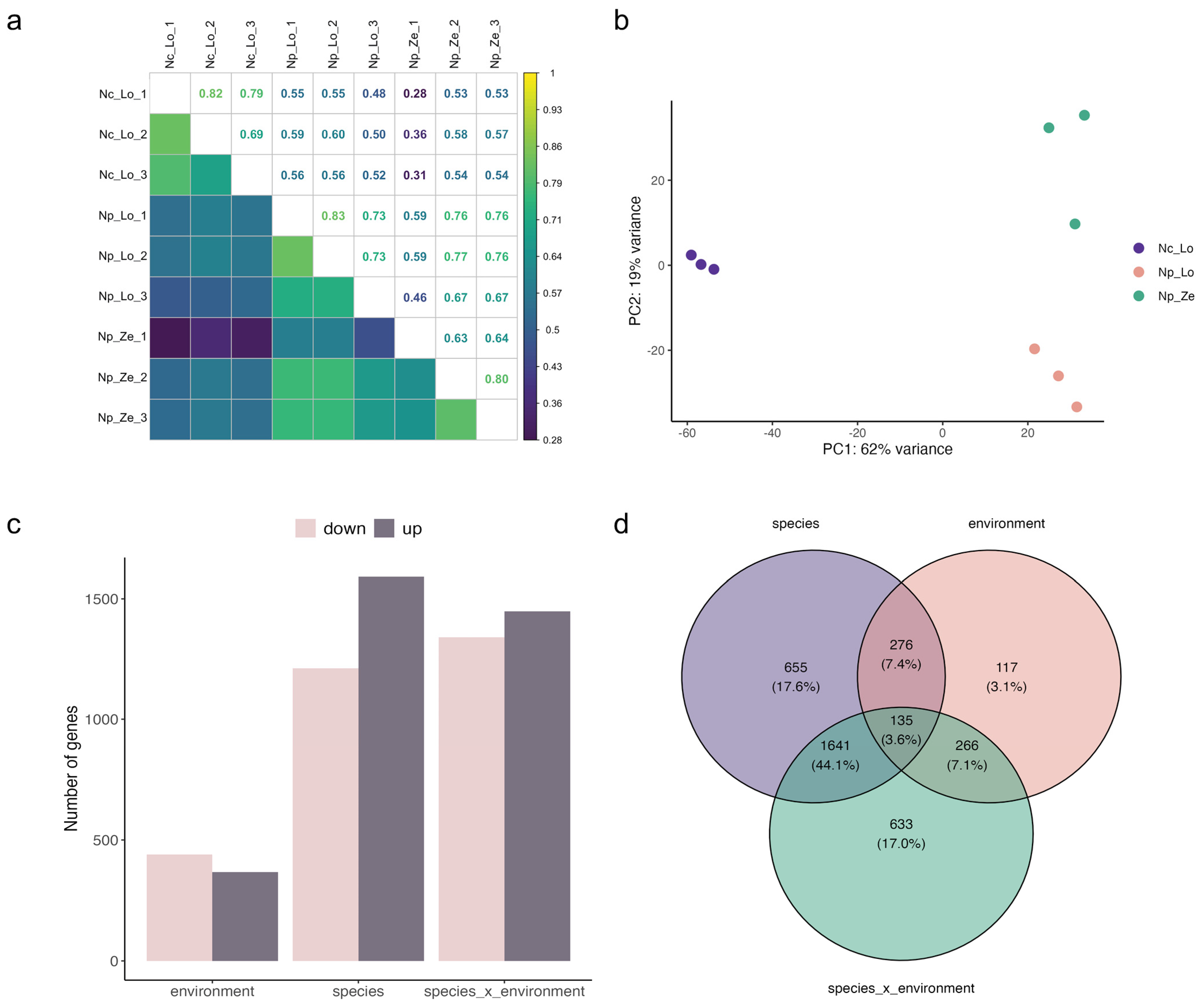 Plants 13 03149 g002