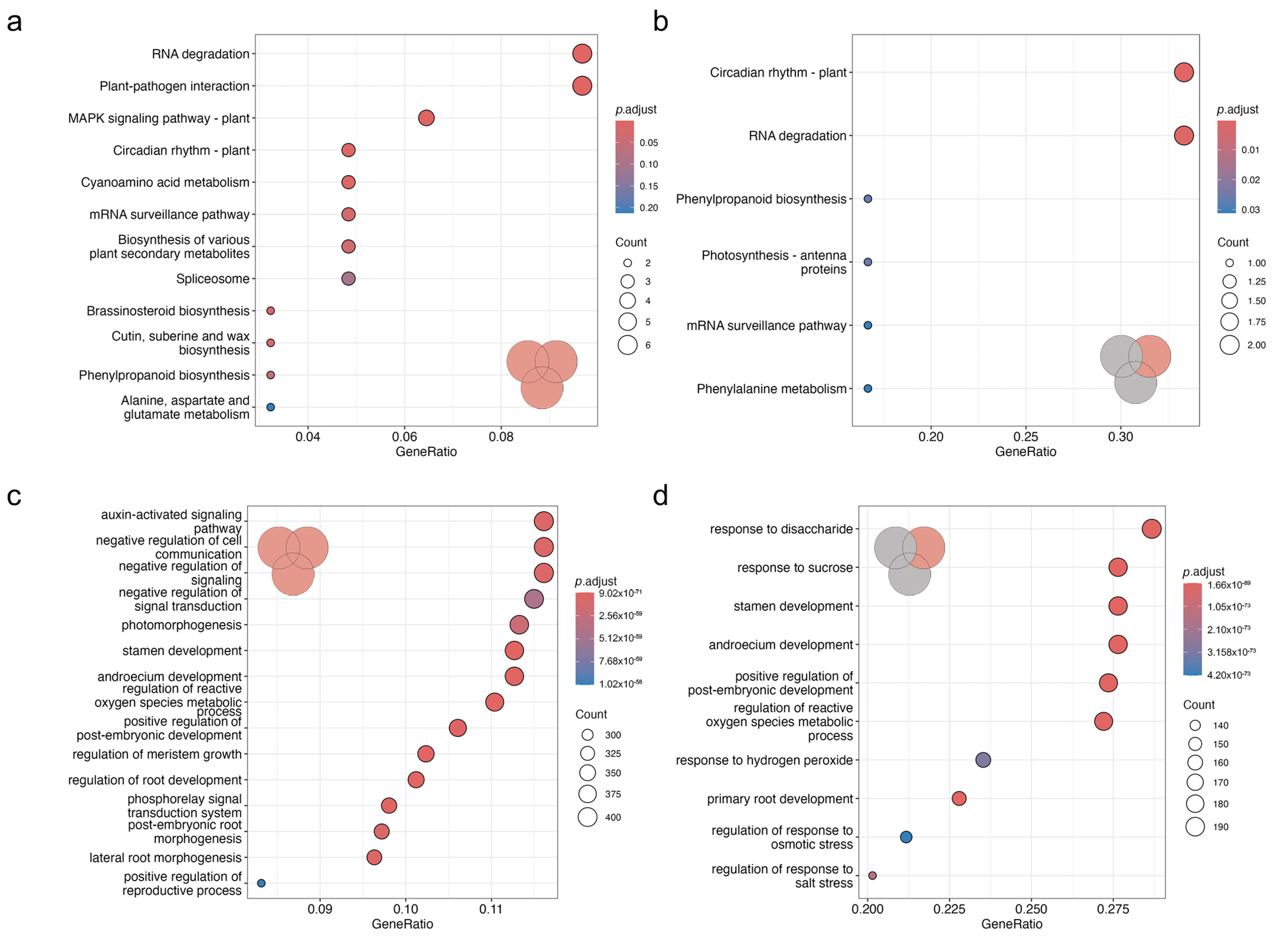 Plants 13 03149 g003