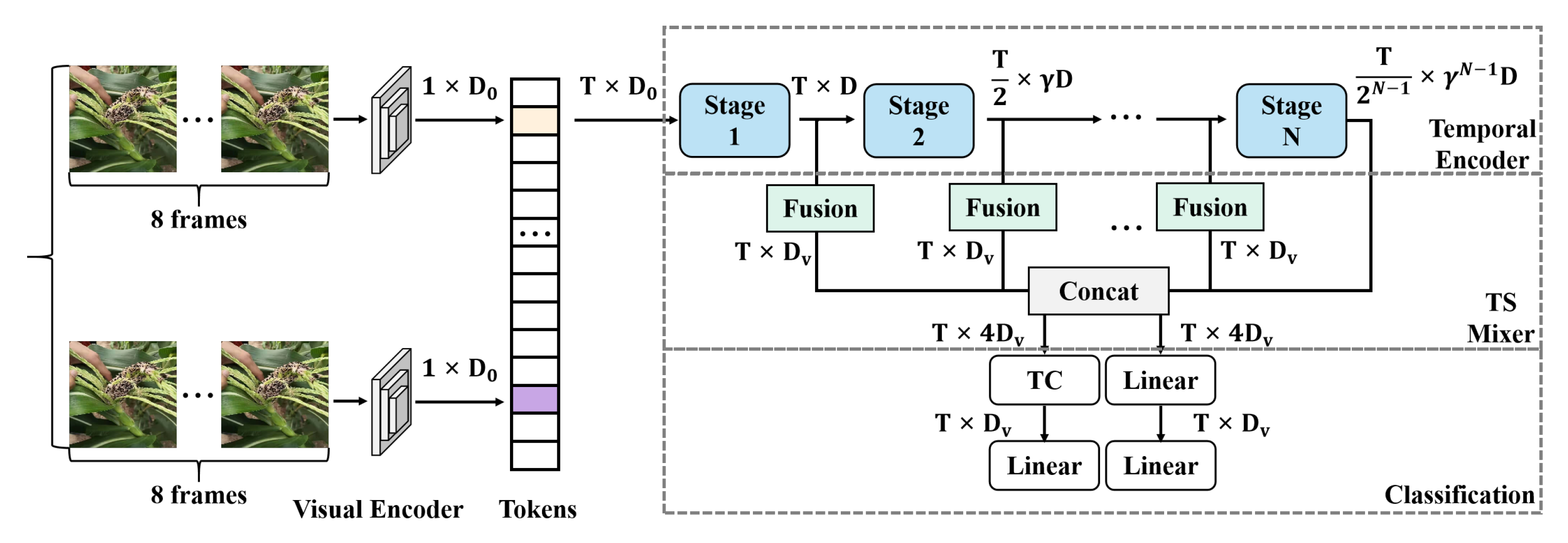 Plants 13 03151 g005