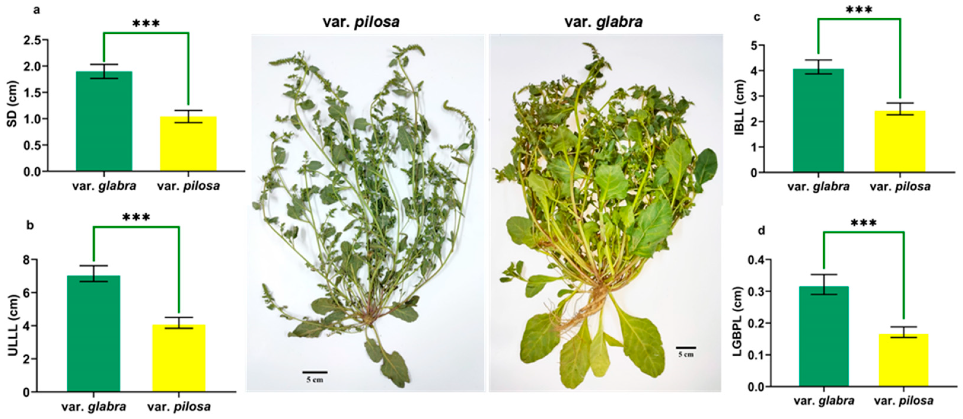 Plants 13 03152 g003 Plants 13 03152 g003