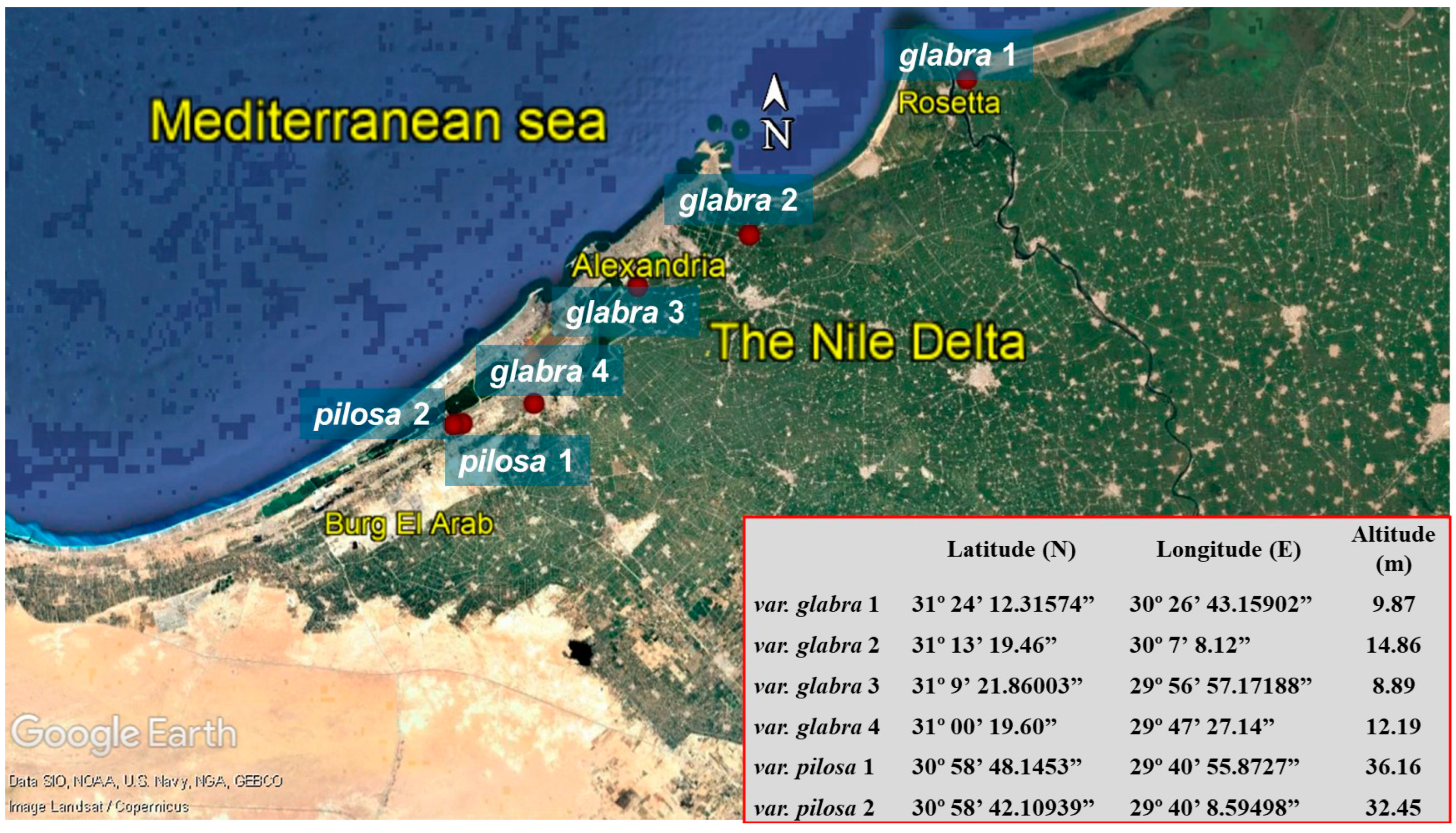 Plants 13 03152 g008 Plants 13 03152 g008