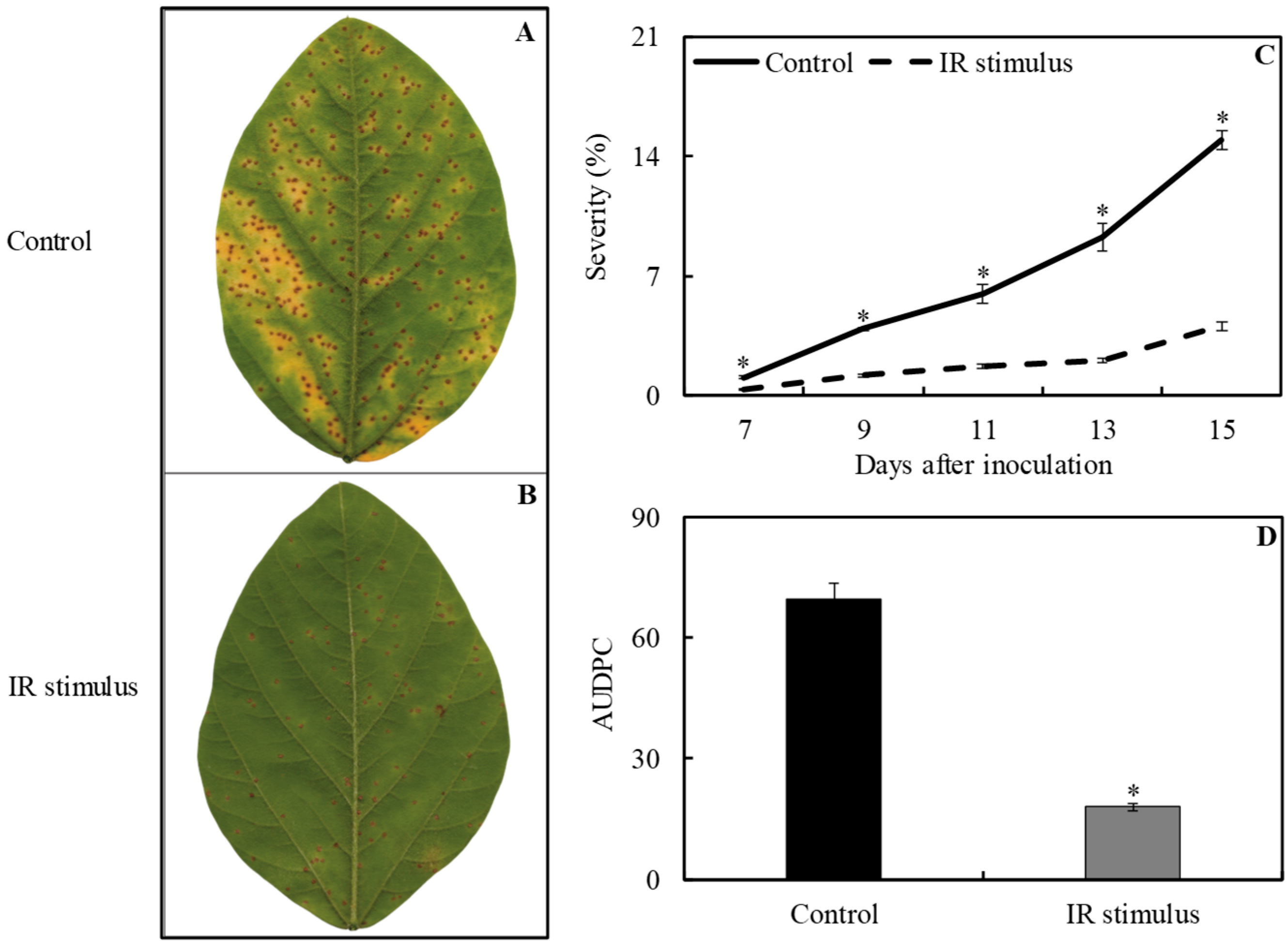 Plants 13 03161 g003