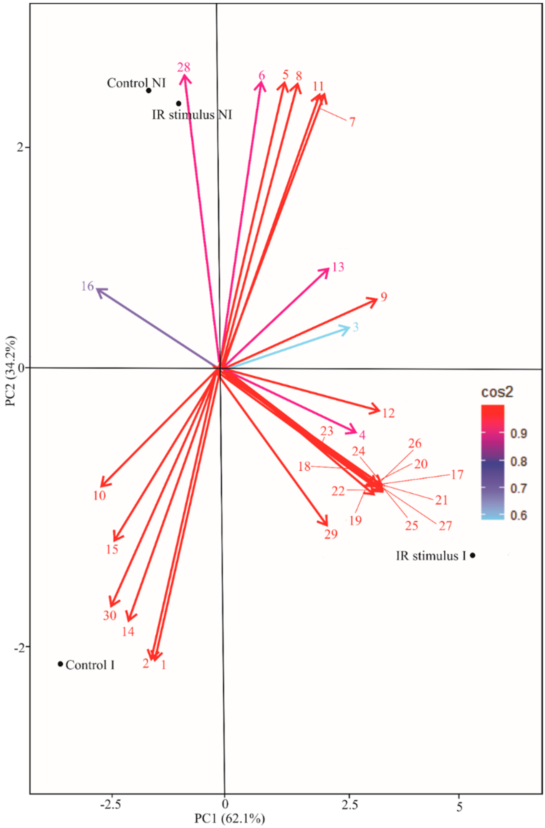 Plants 13 03161 g013