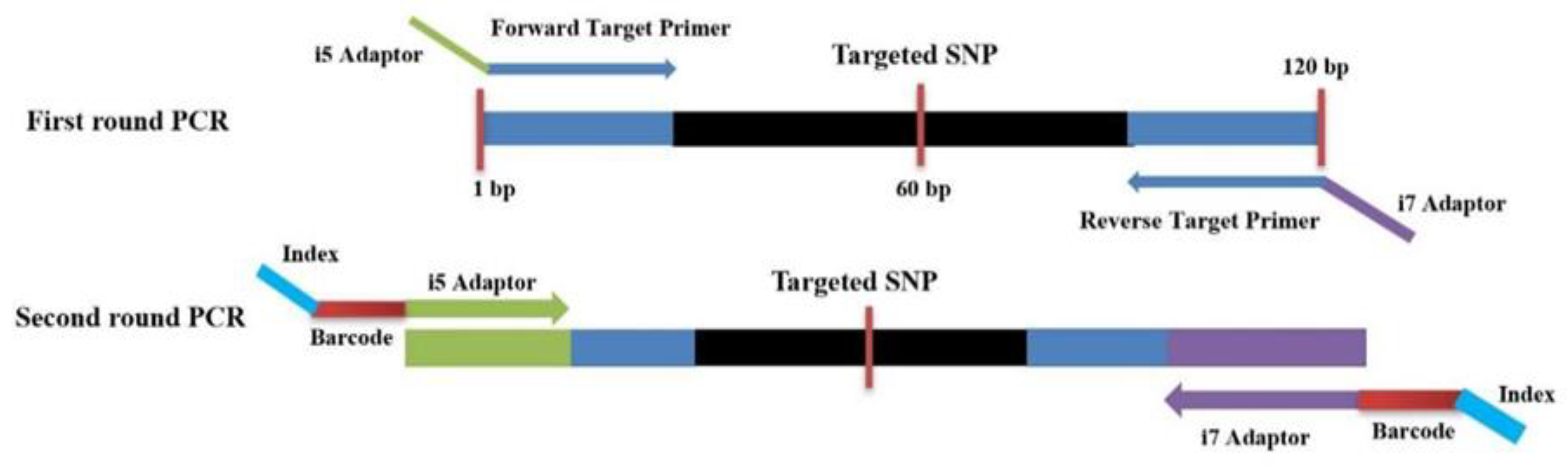 Plants 13 03163 g006