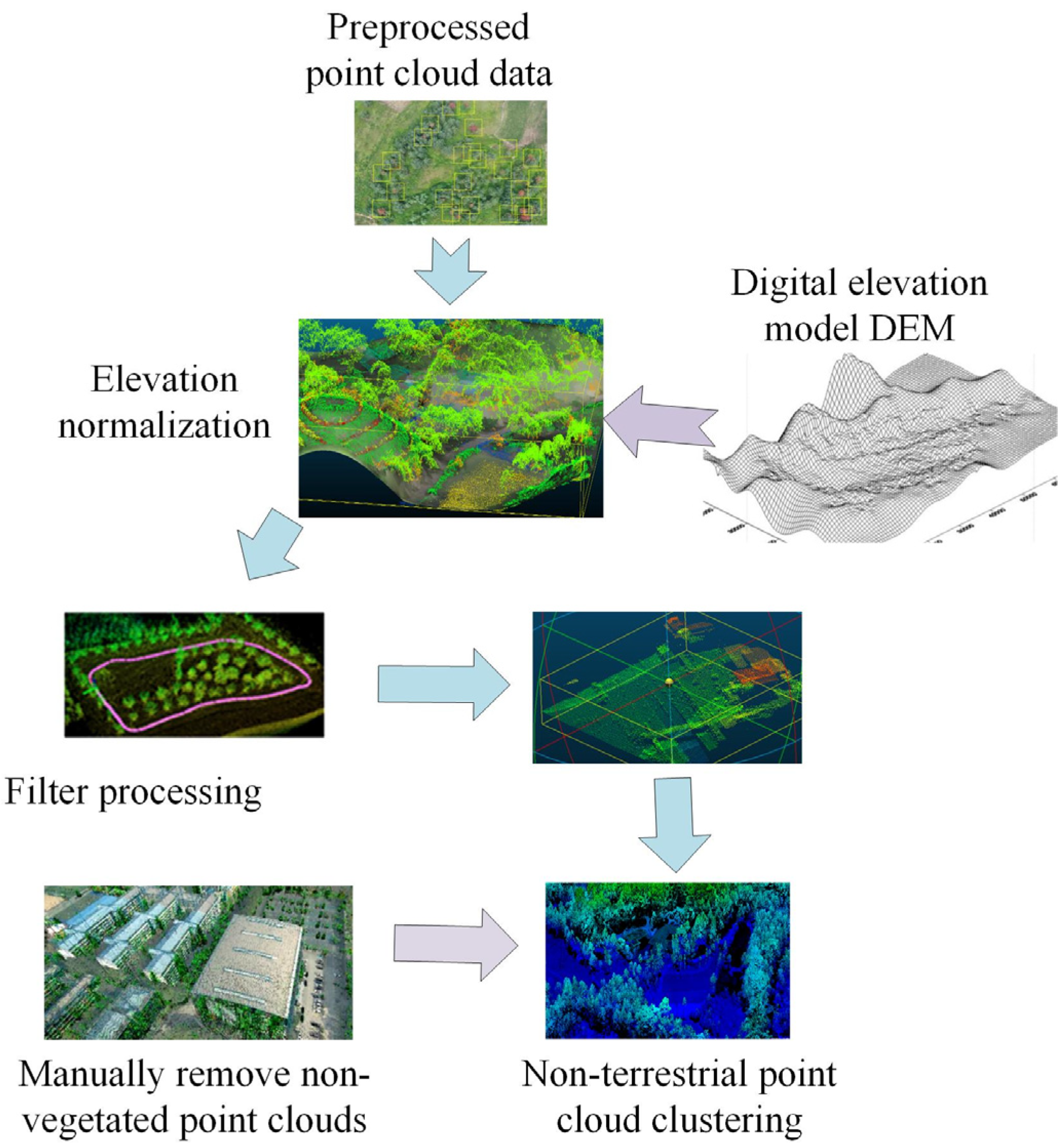 Plants 13 03164 g004