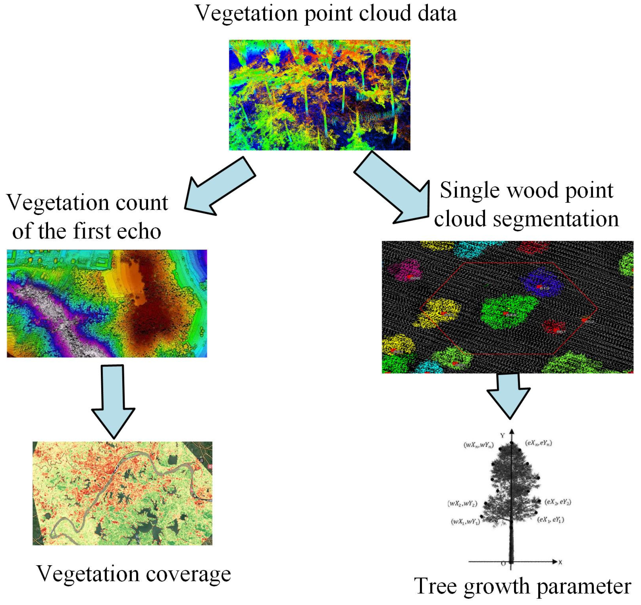 Plants 13 03164 g005