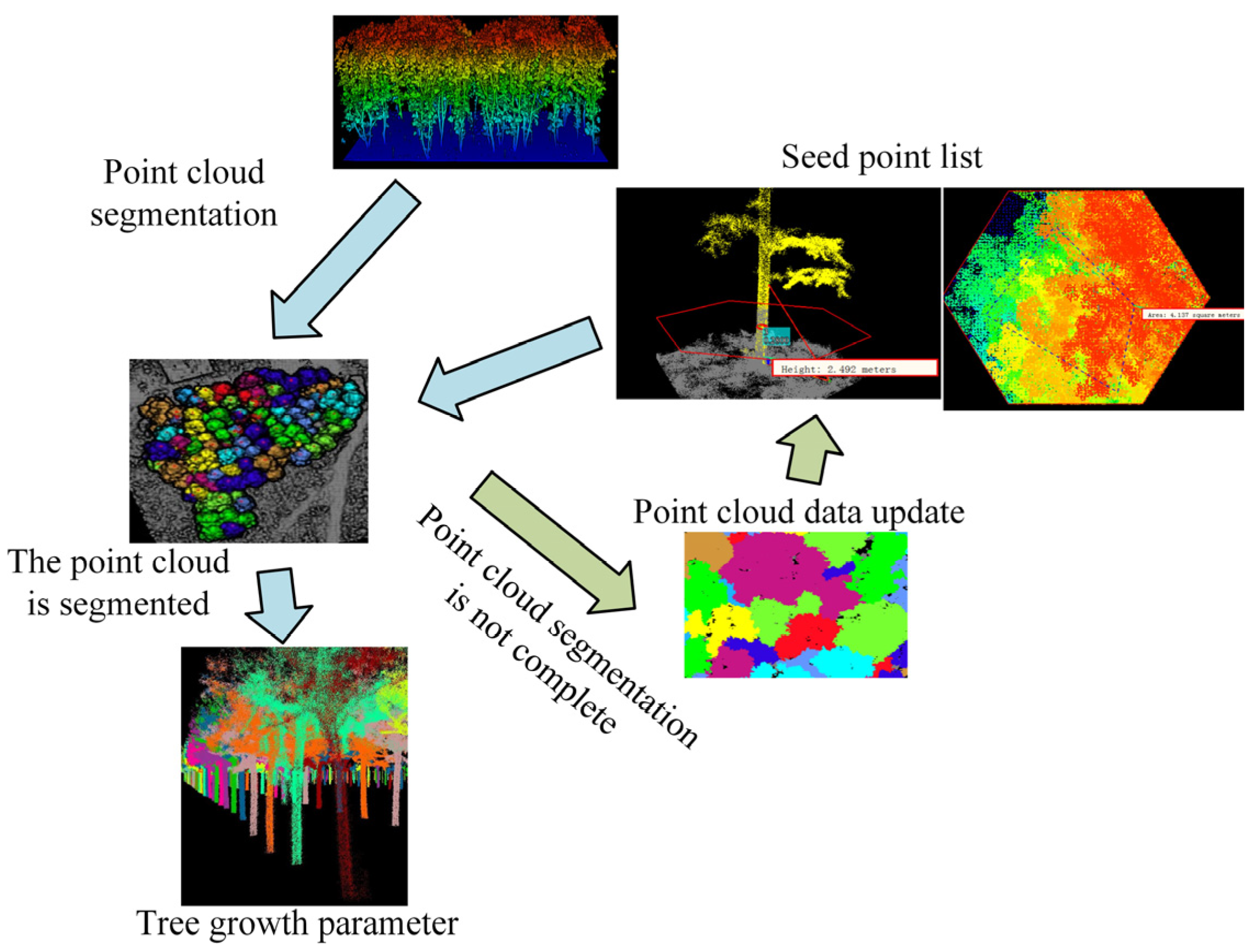 Plants 13 03164 g006
