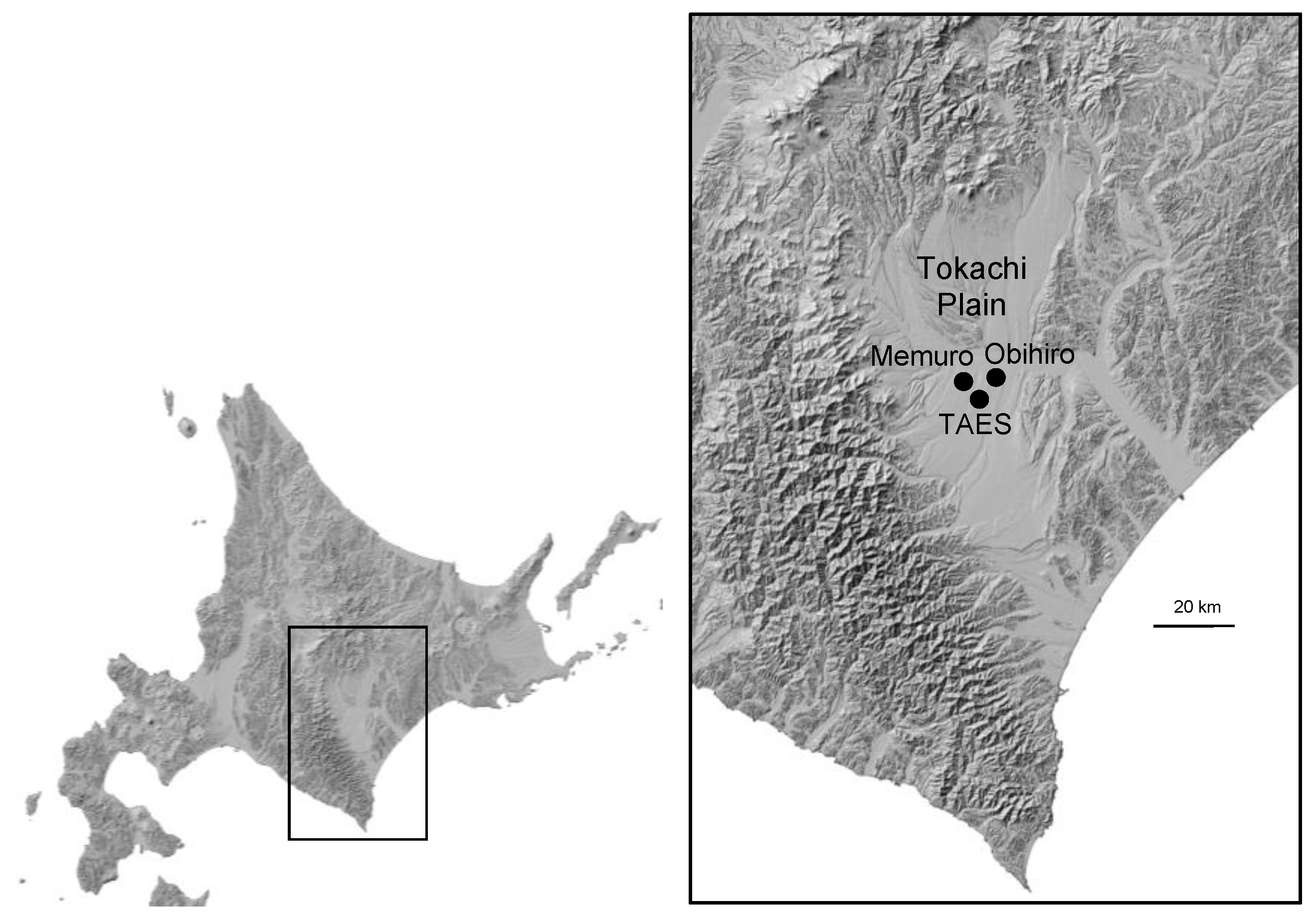 Plants 13 03165 g002