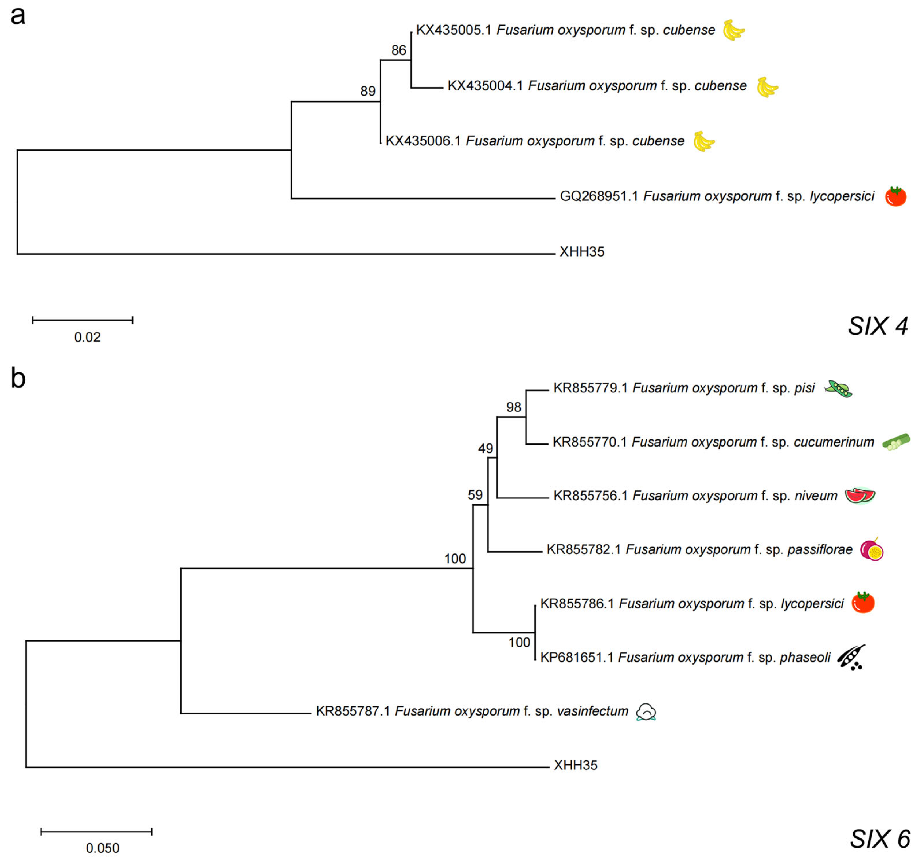 Plants 13 03166 g005a