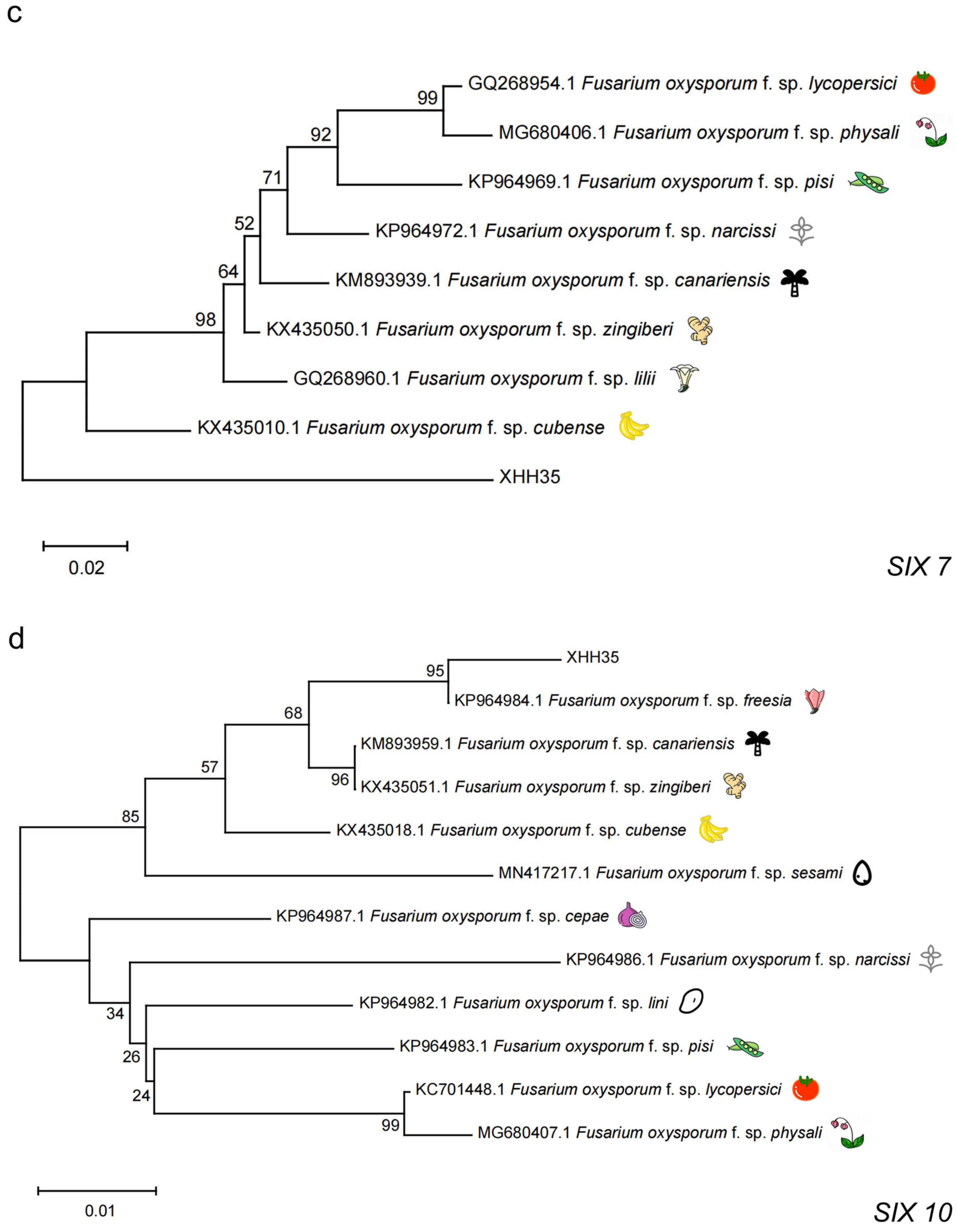 Plants 13 03166 g005b