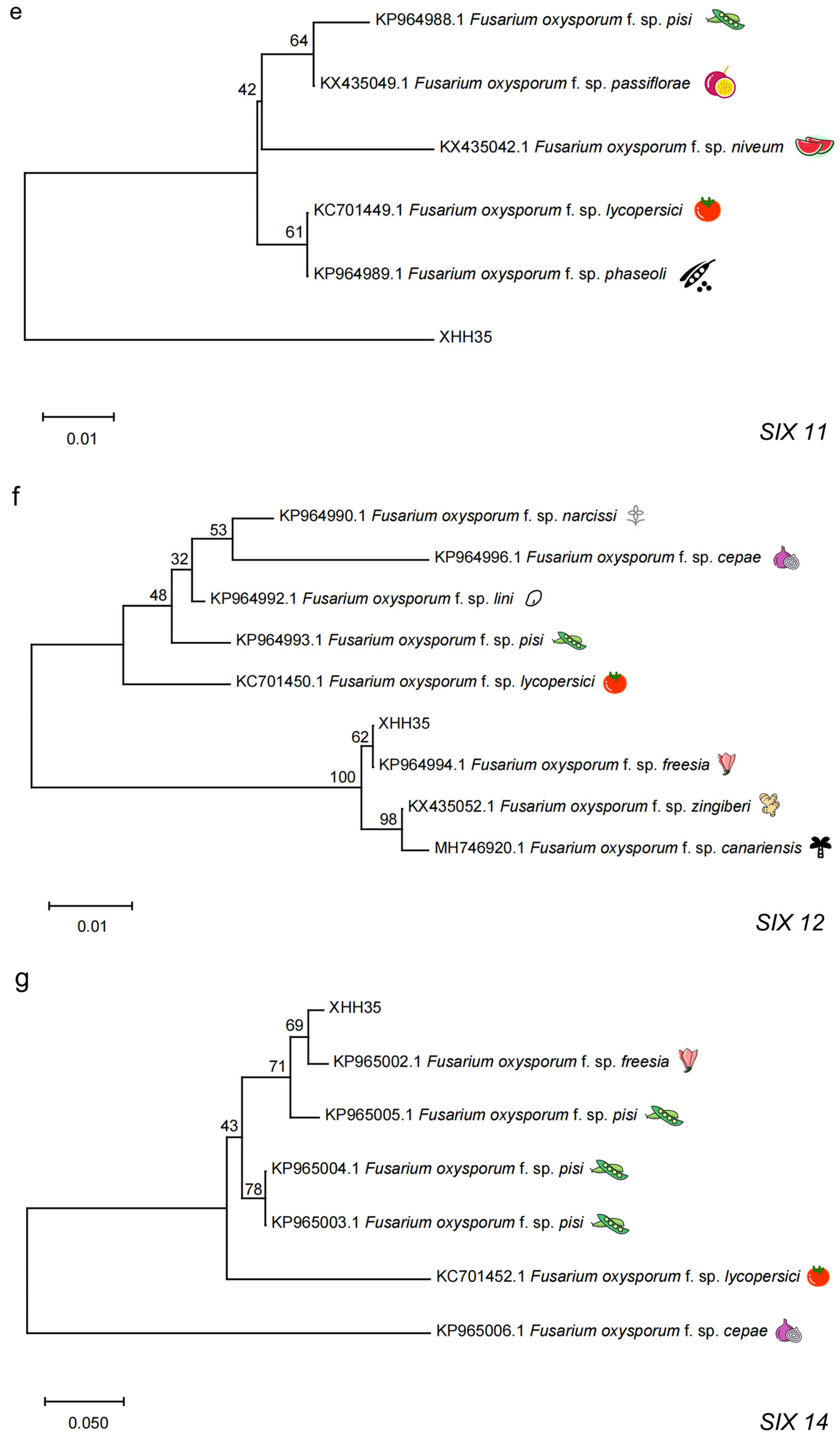 Plants 13 03166 g005c